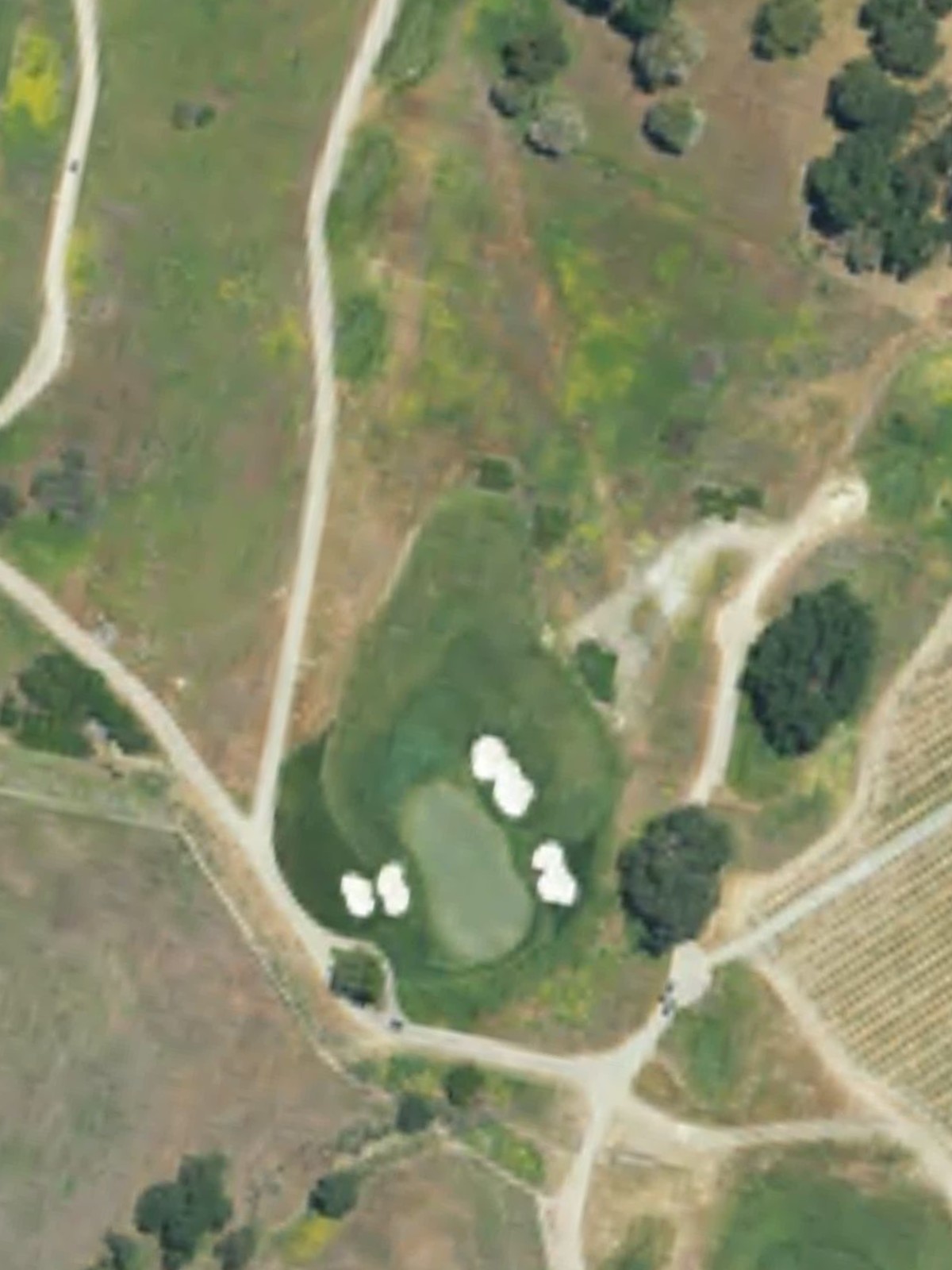 Hole 7 satellite