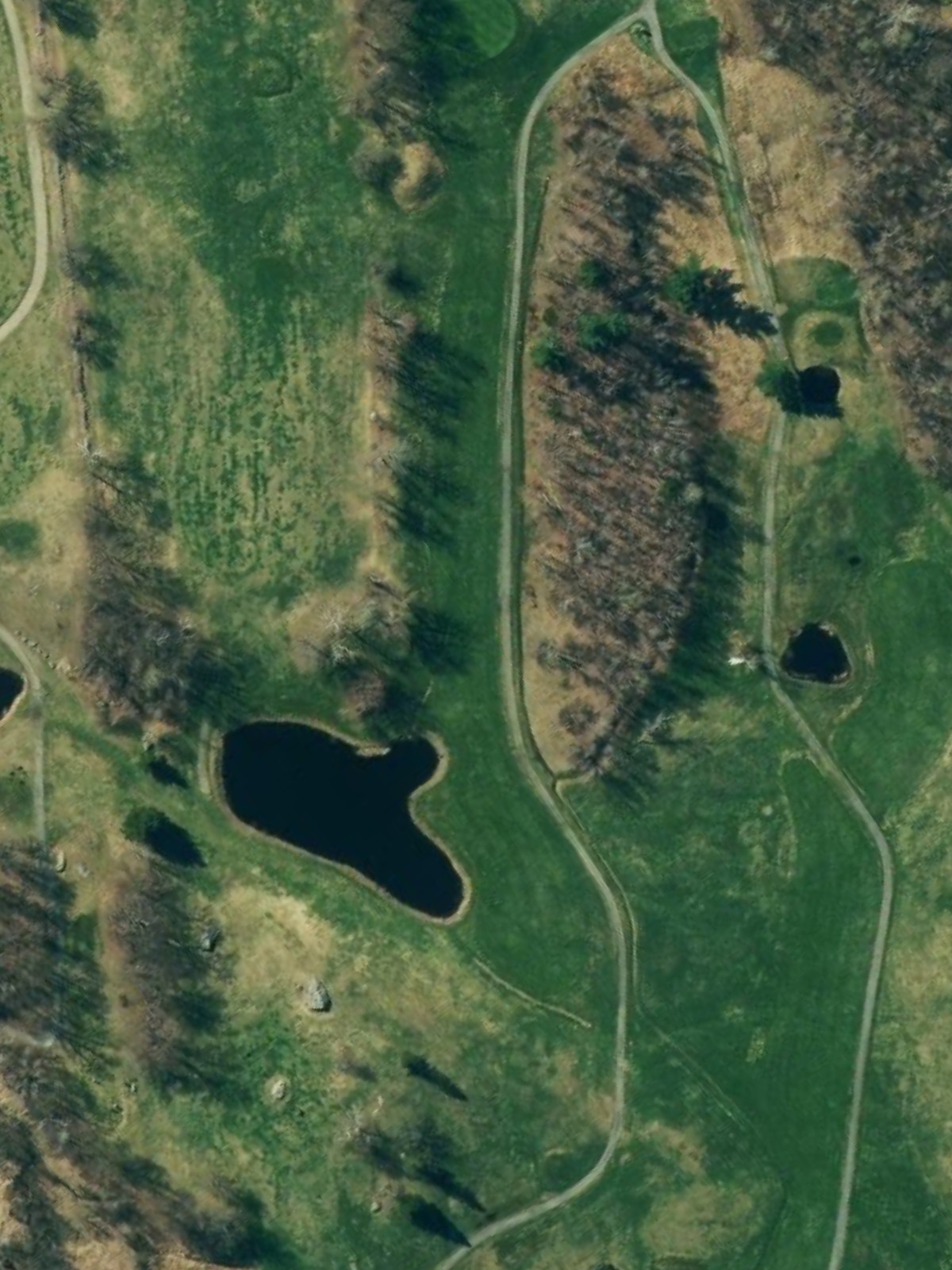Hole 12 satellite