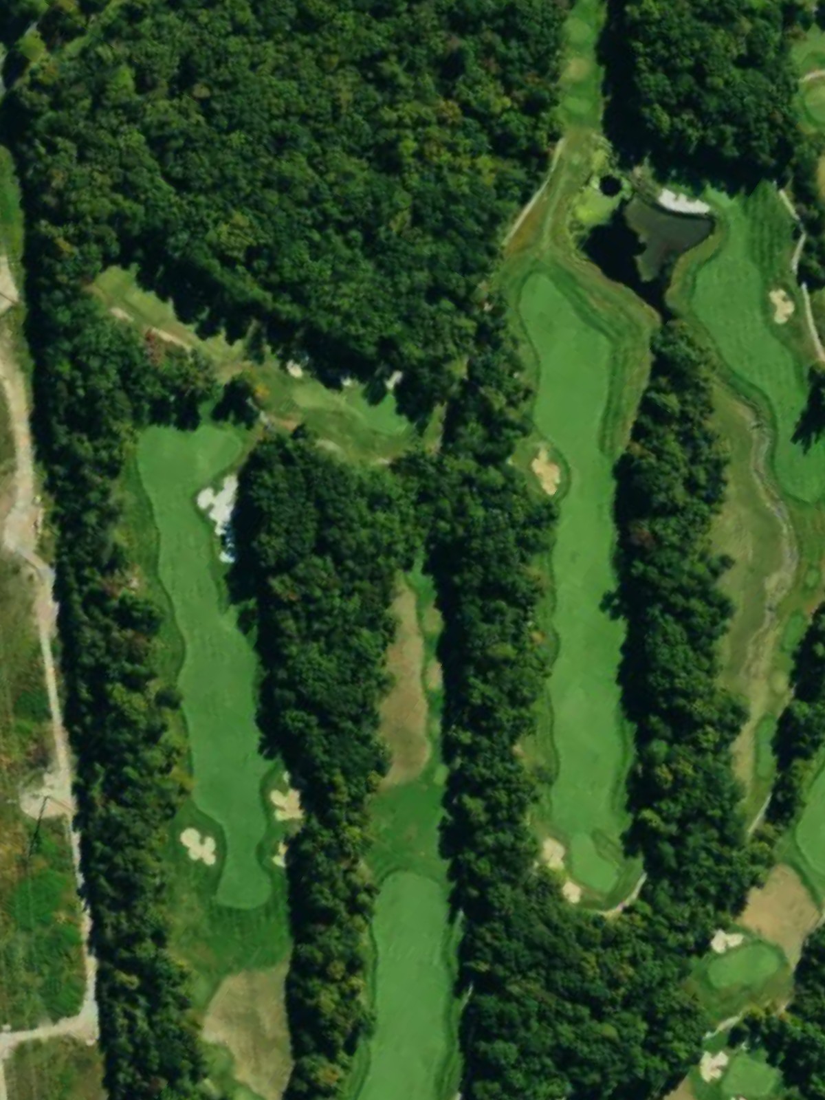 Hole 15 satellite
