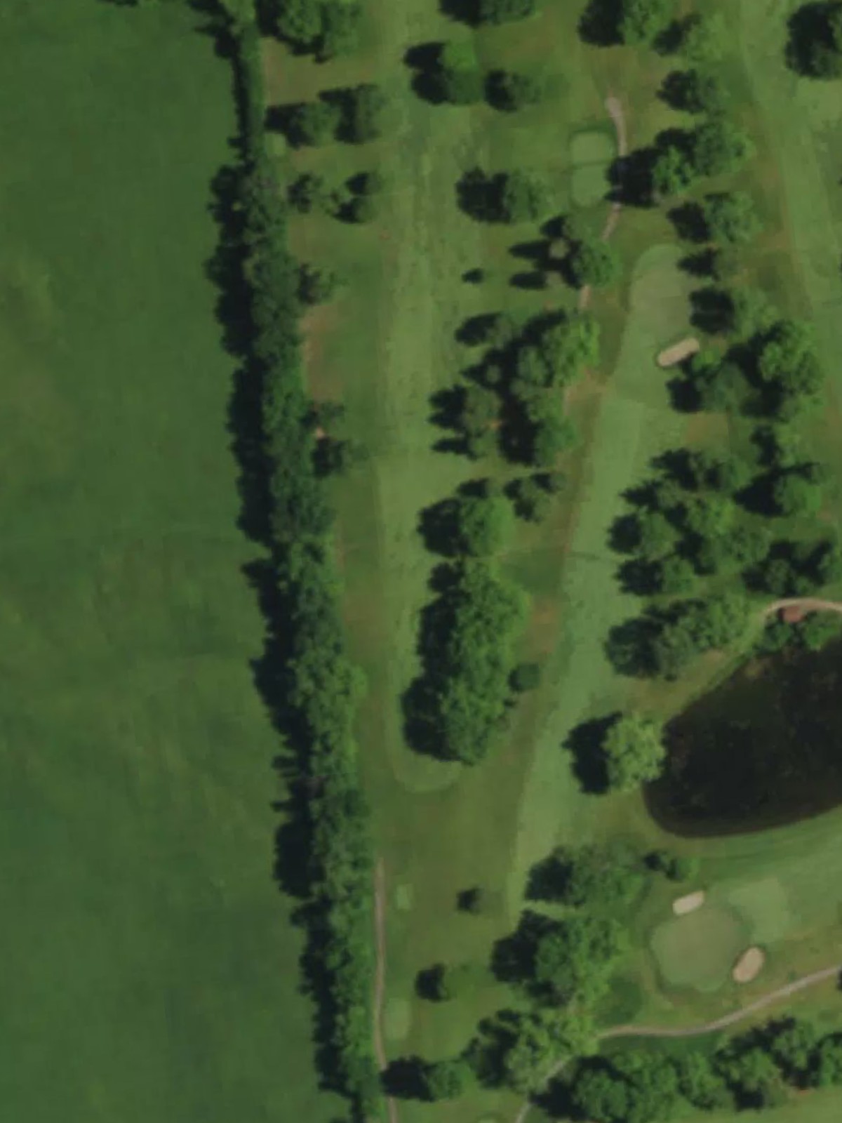 Hole 15 satellite