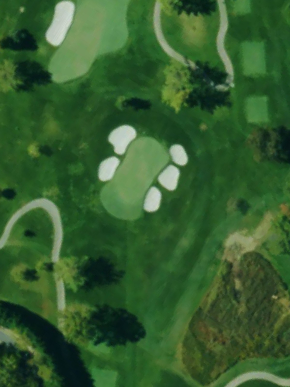 Hole 15 satellite