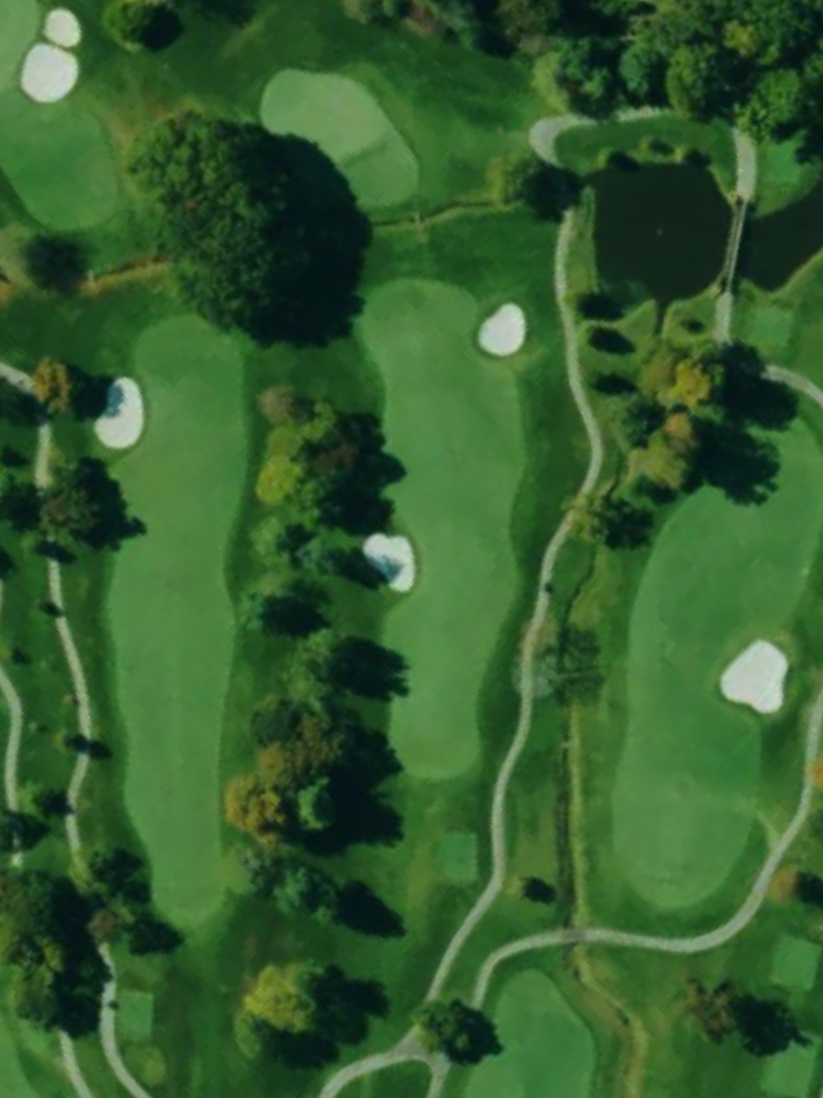 Hole 7 satellite