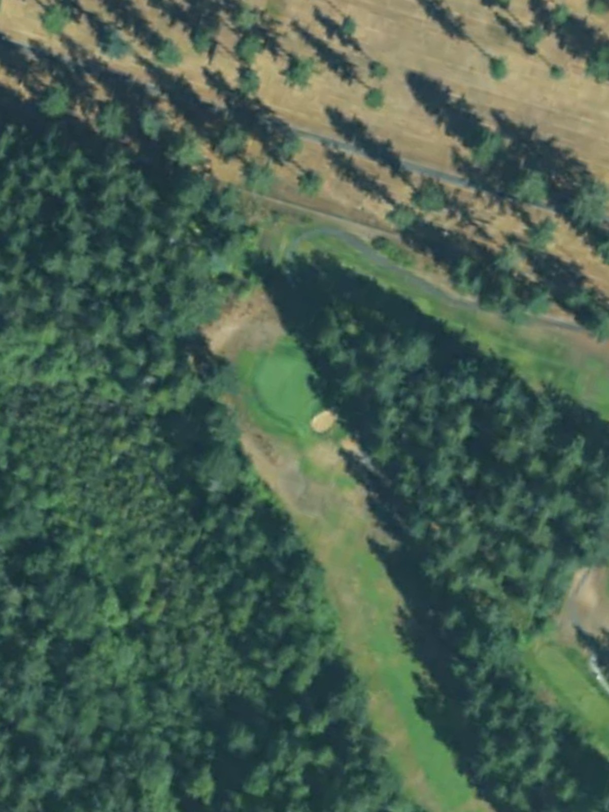 Hole 11 satellite