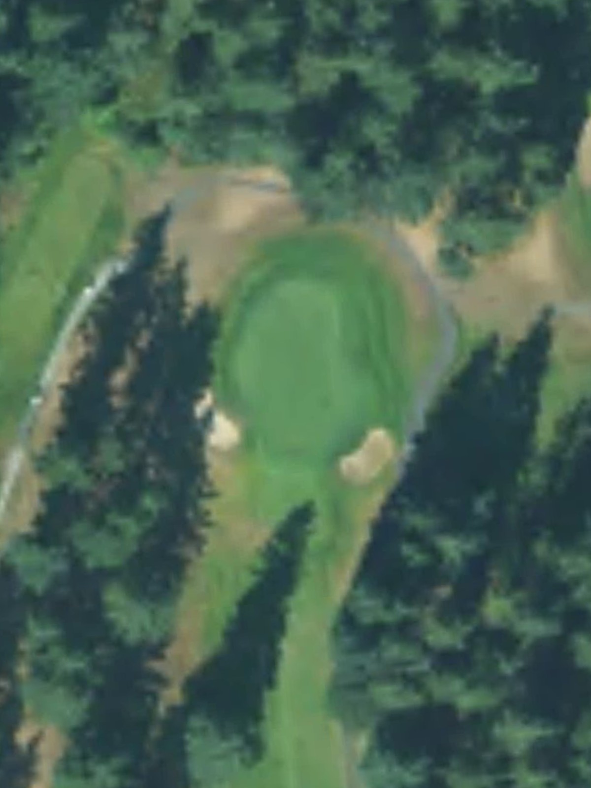 Hole 15 satellite