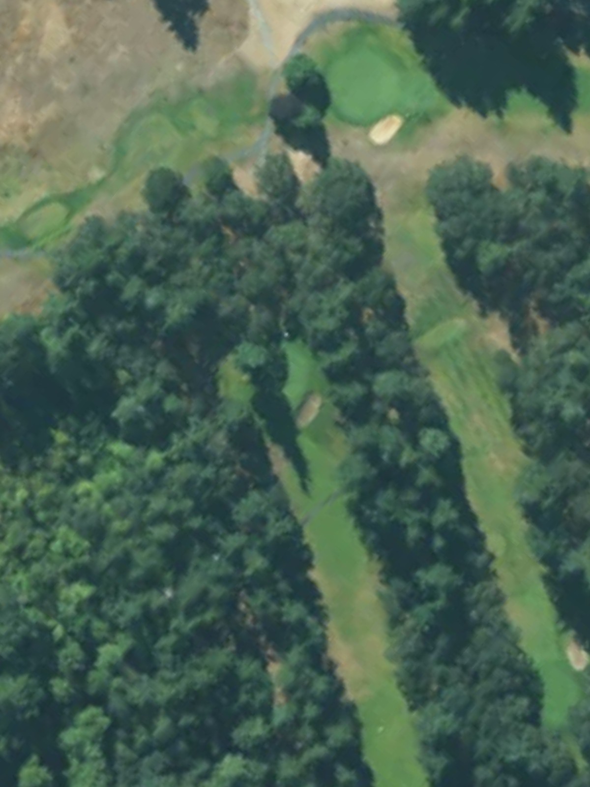 Hole 7 satellite