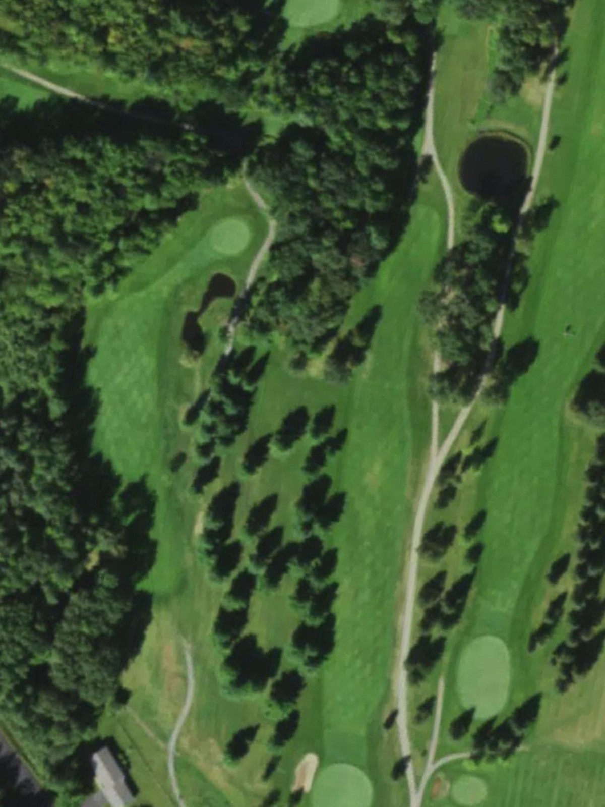 Hole 10 satellite