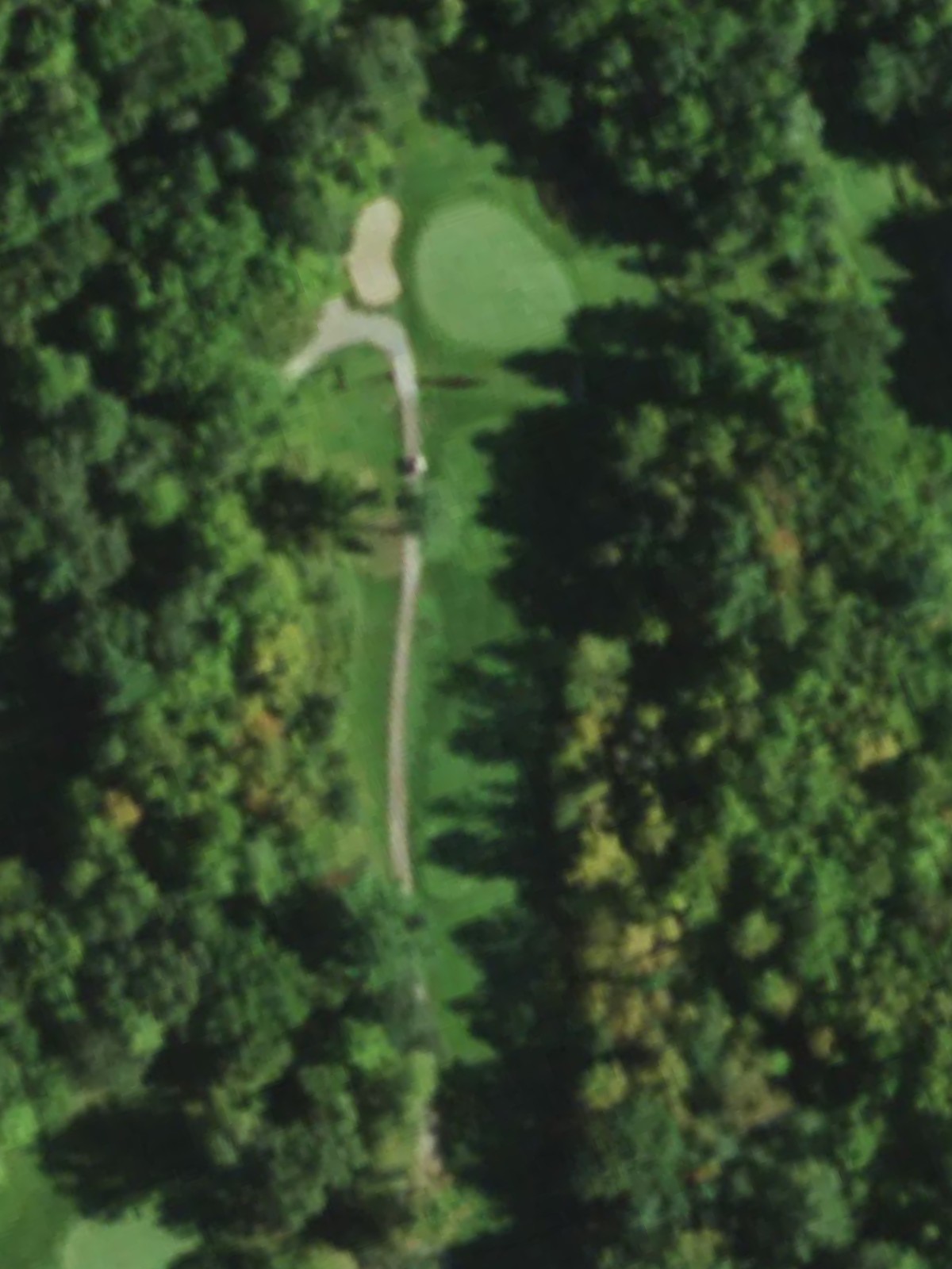 Hole 15 satellite