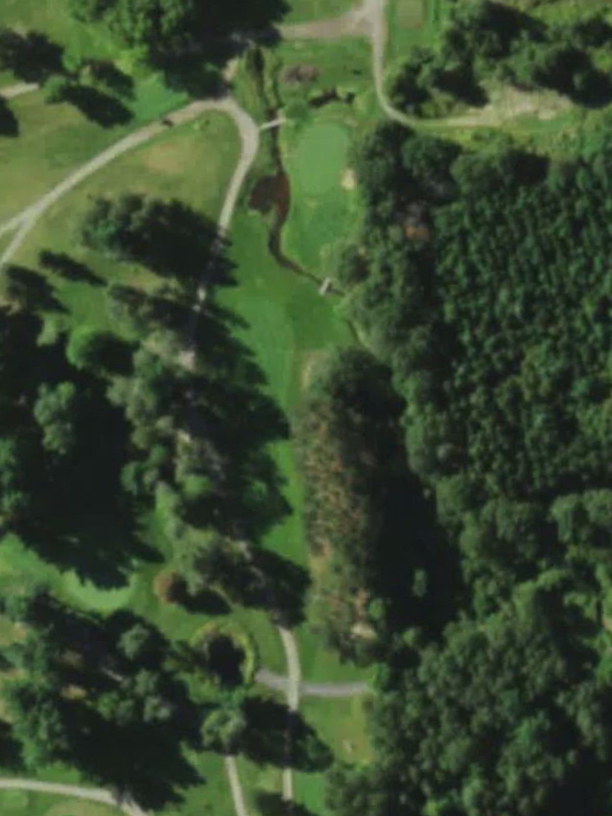 Hole 8 satellite