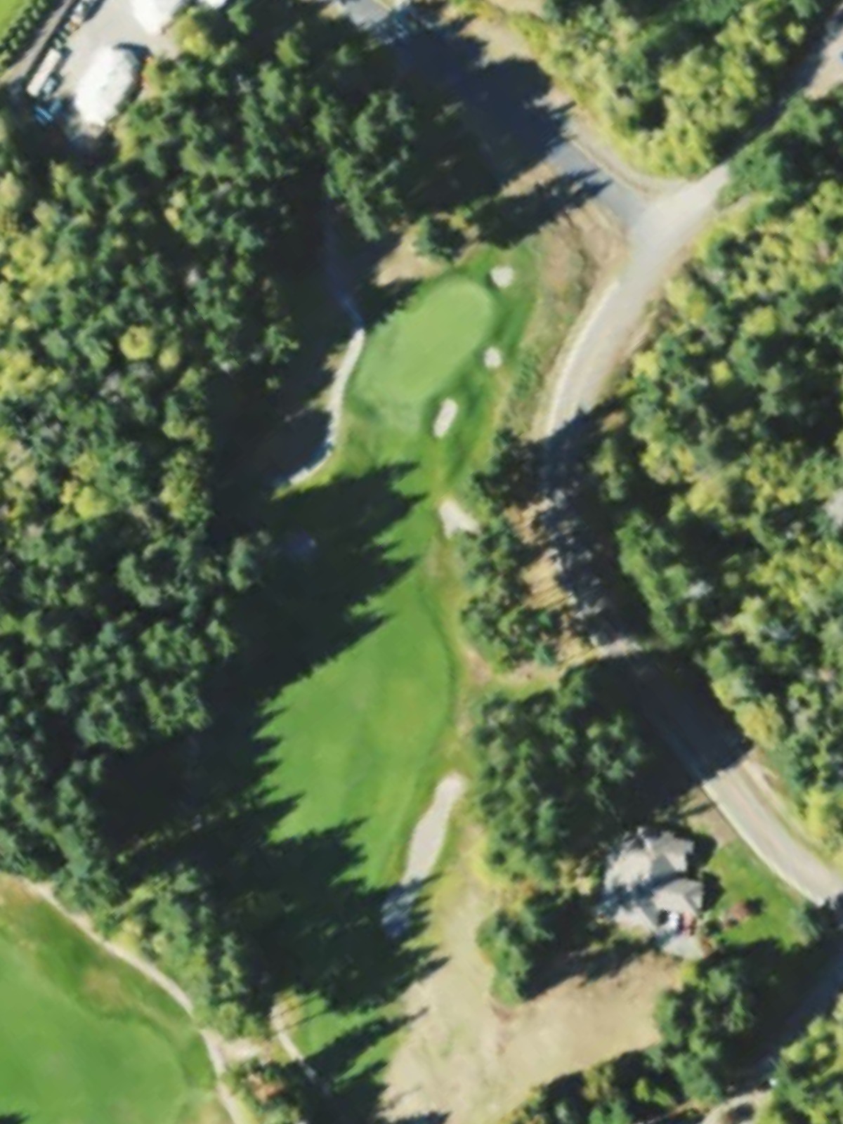 Hole 15 satellite