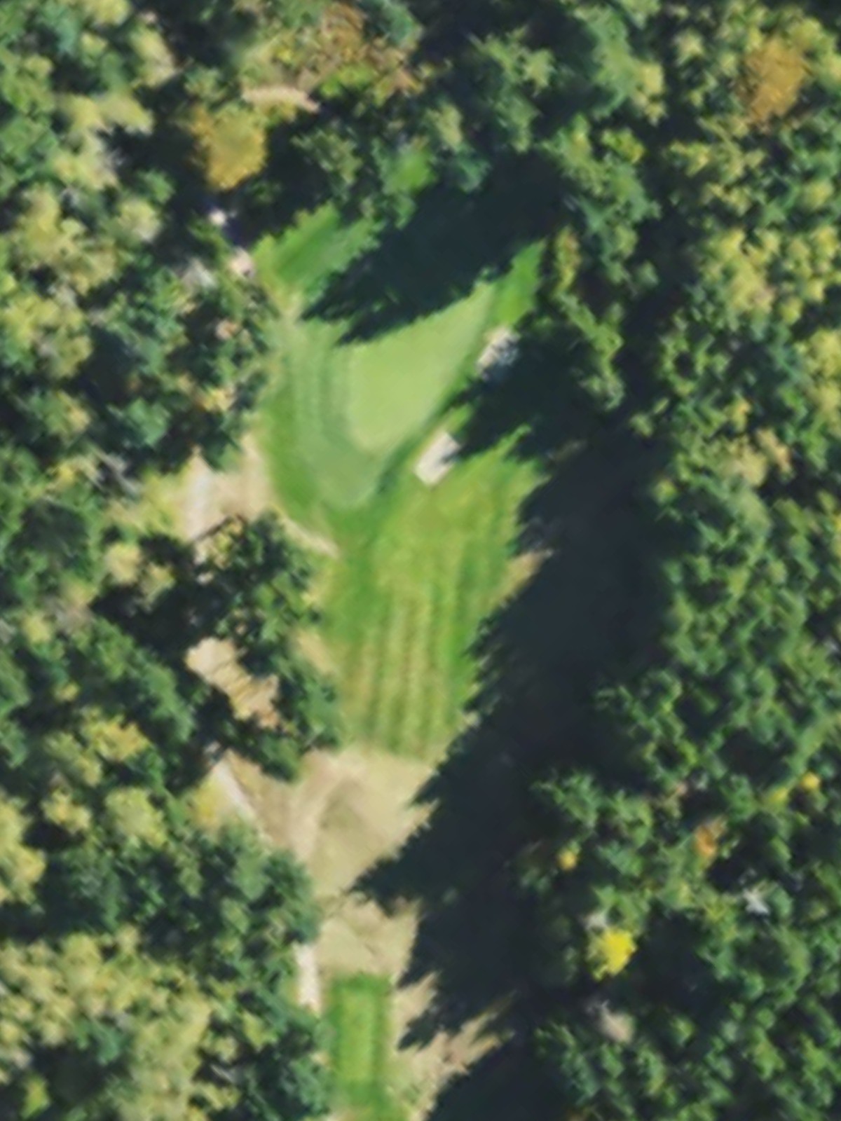 Hole 4 satellite