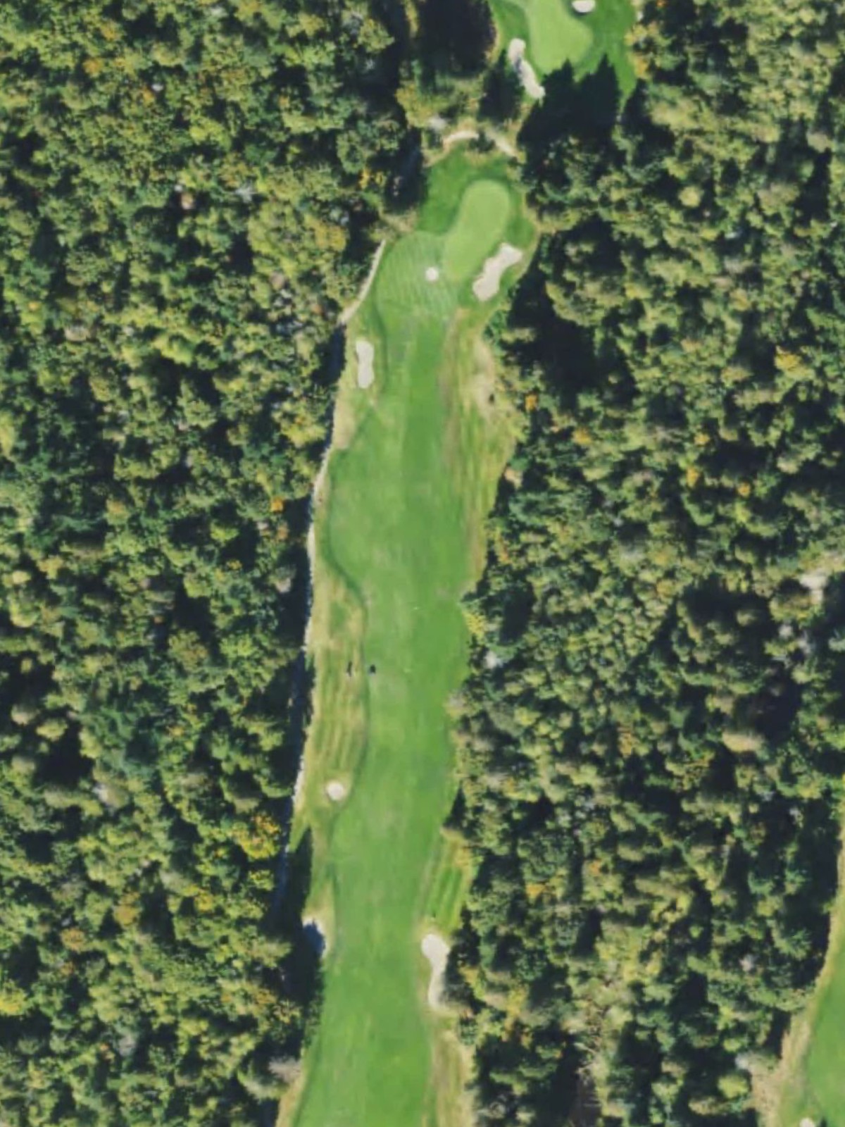 Hole 8 satellite