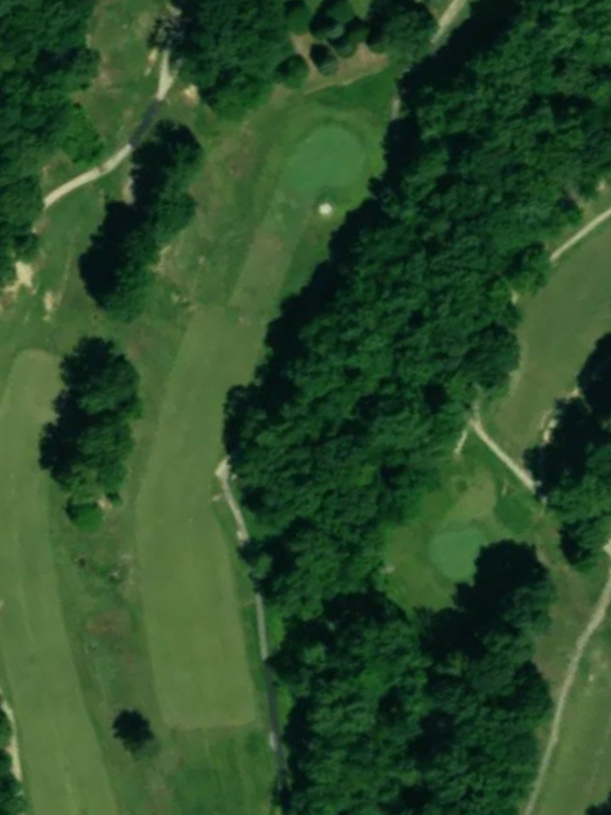 Hole 10 satellite