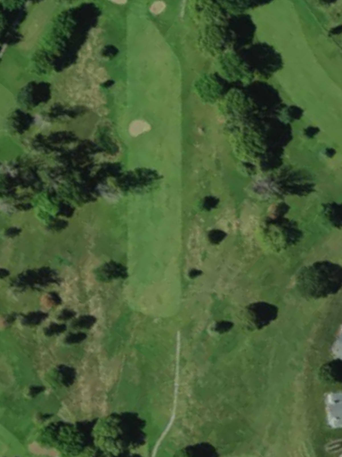 Hole 7 satellite