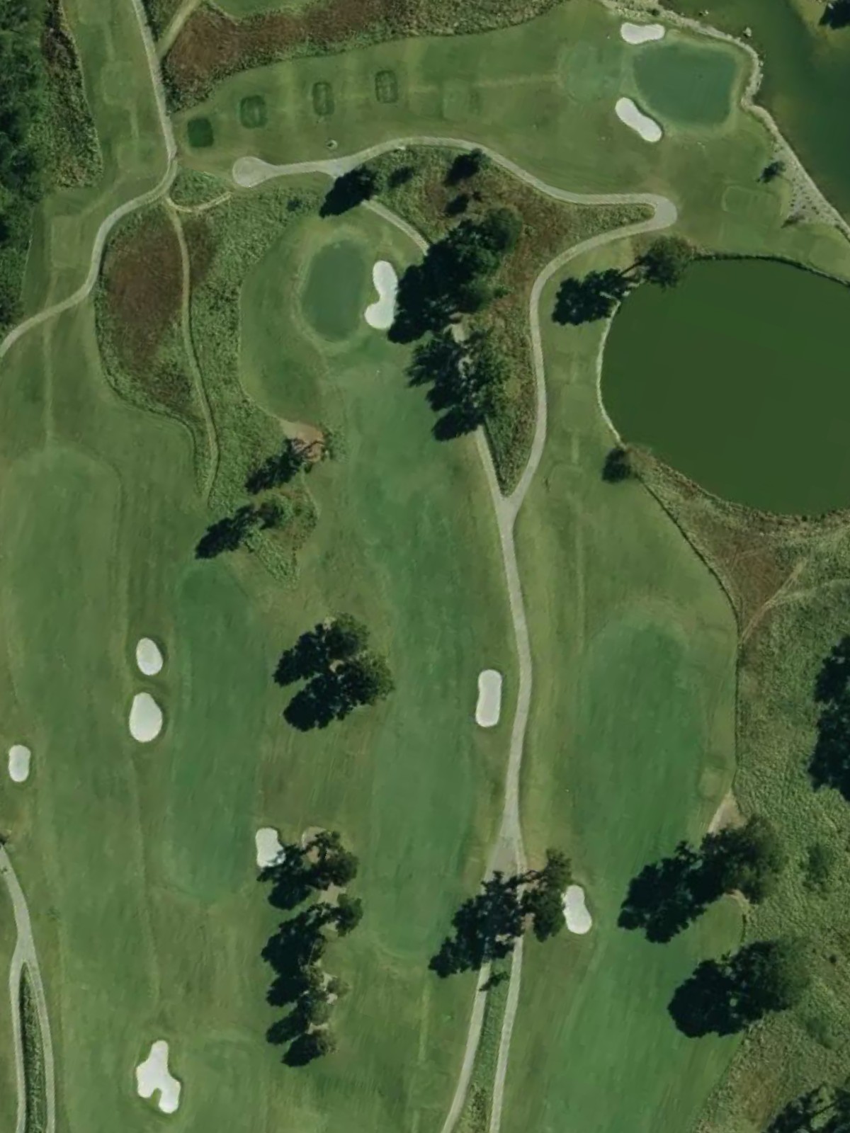 Hole 7 satellite