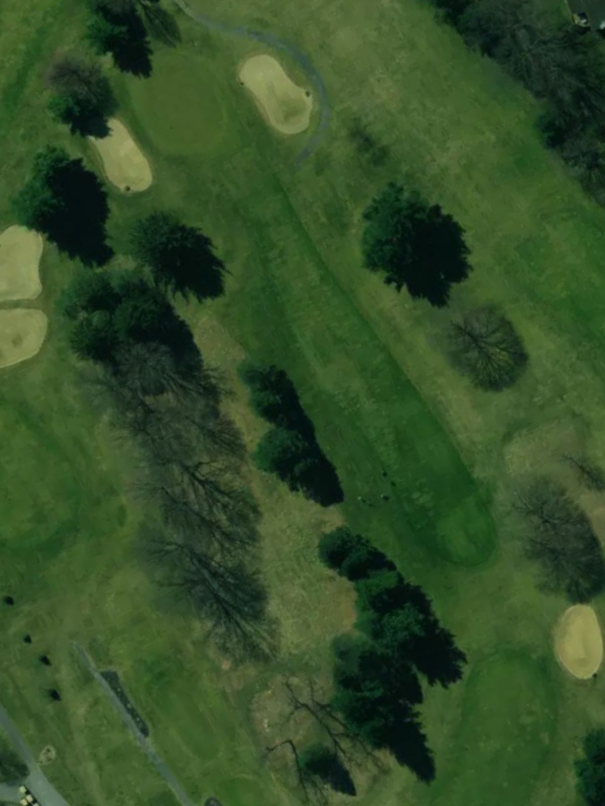Hole 6 satellite