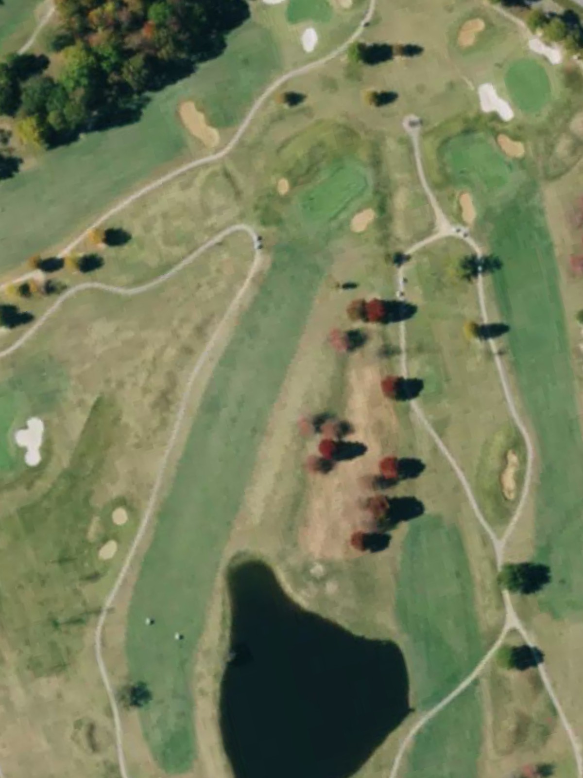 Hole 7 satellite