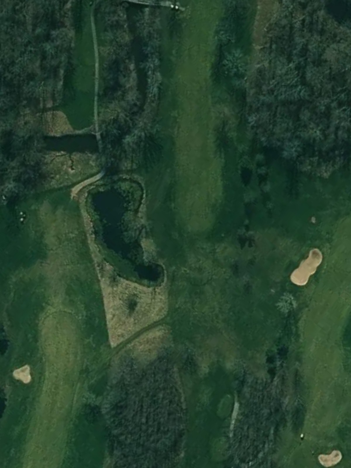 Hole 8 satellite