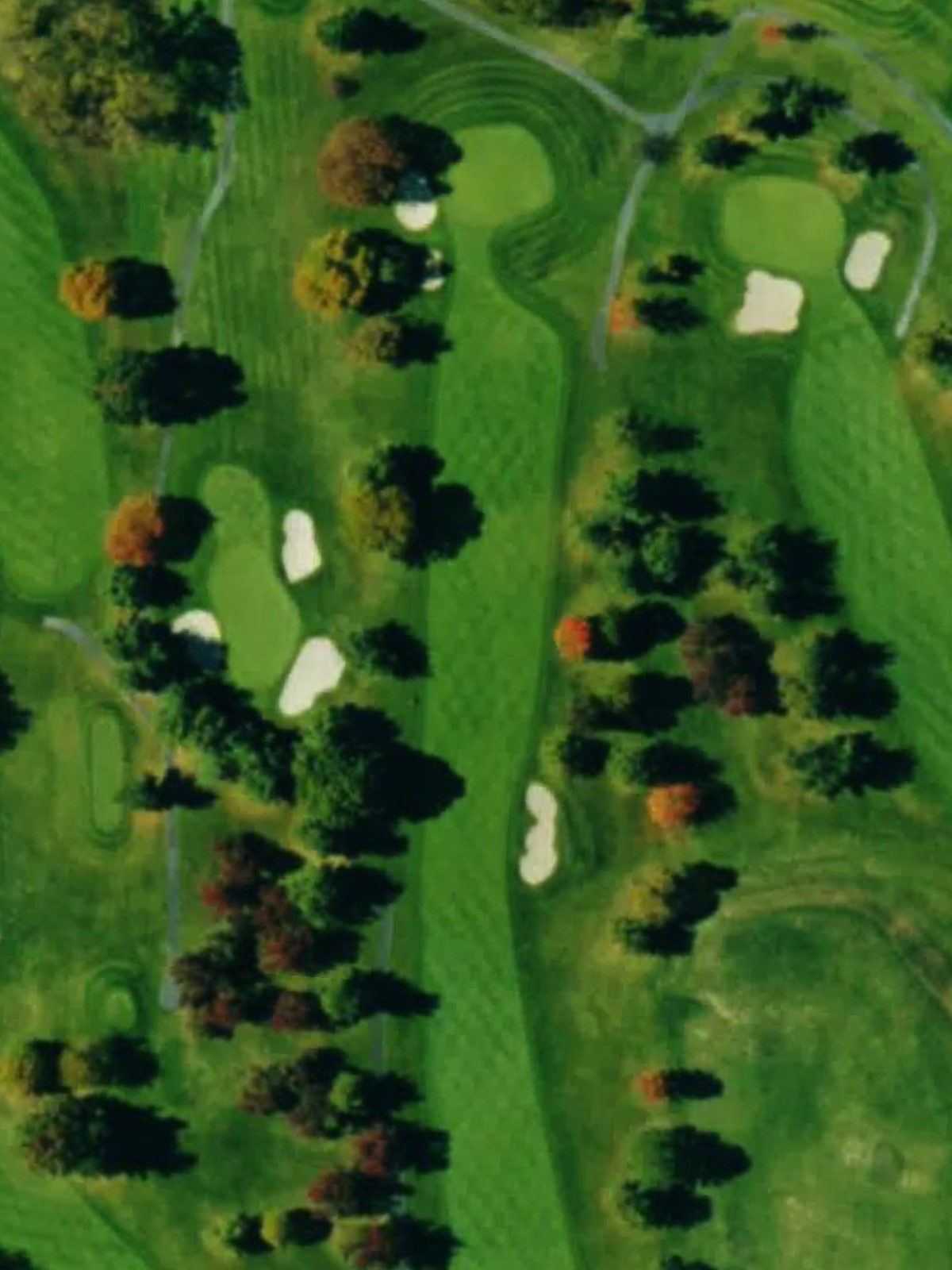 Hole 1 satellite