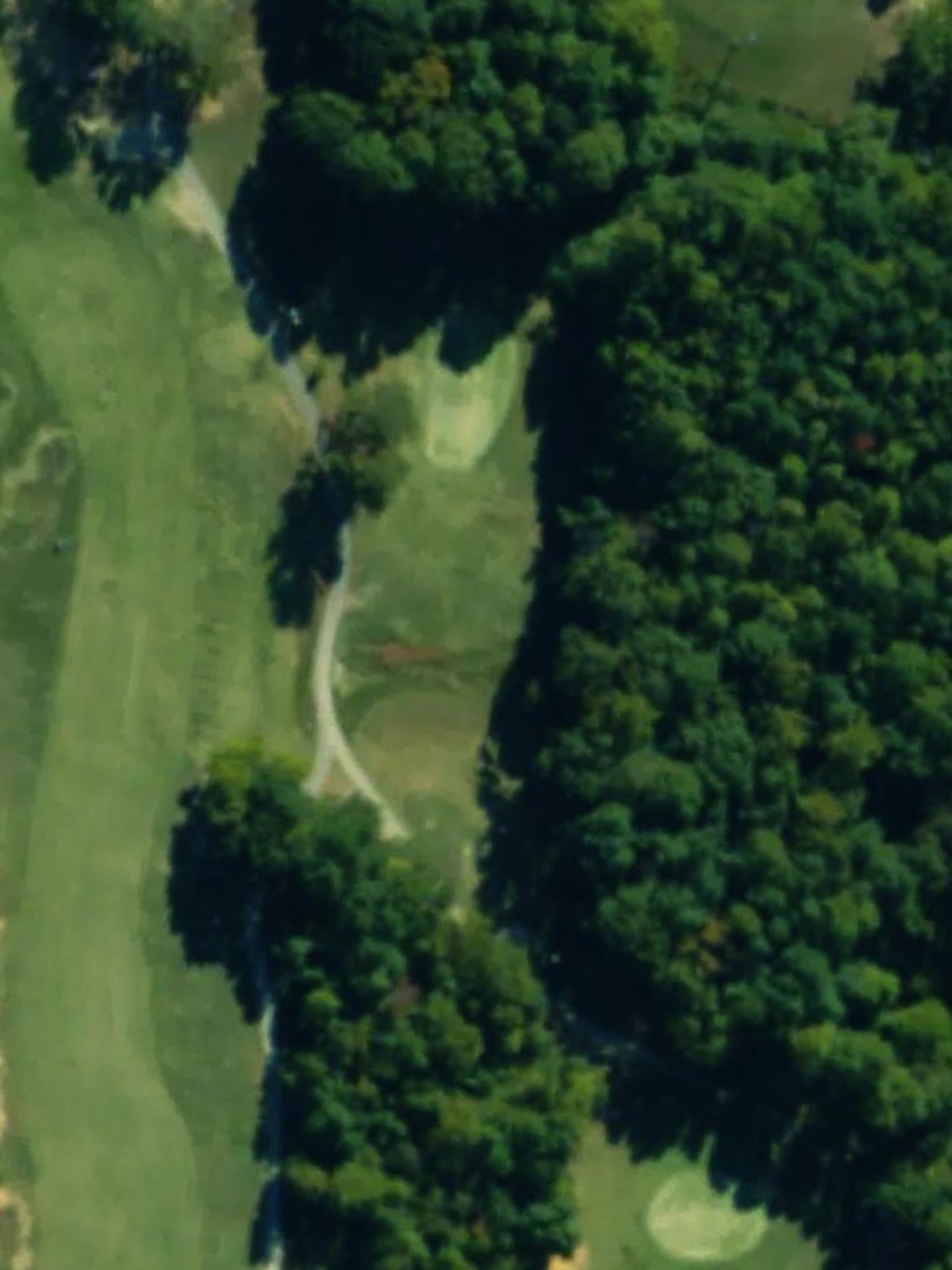 Hole 8 satellite
