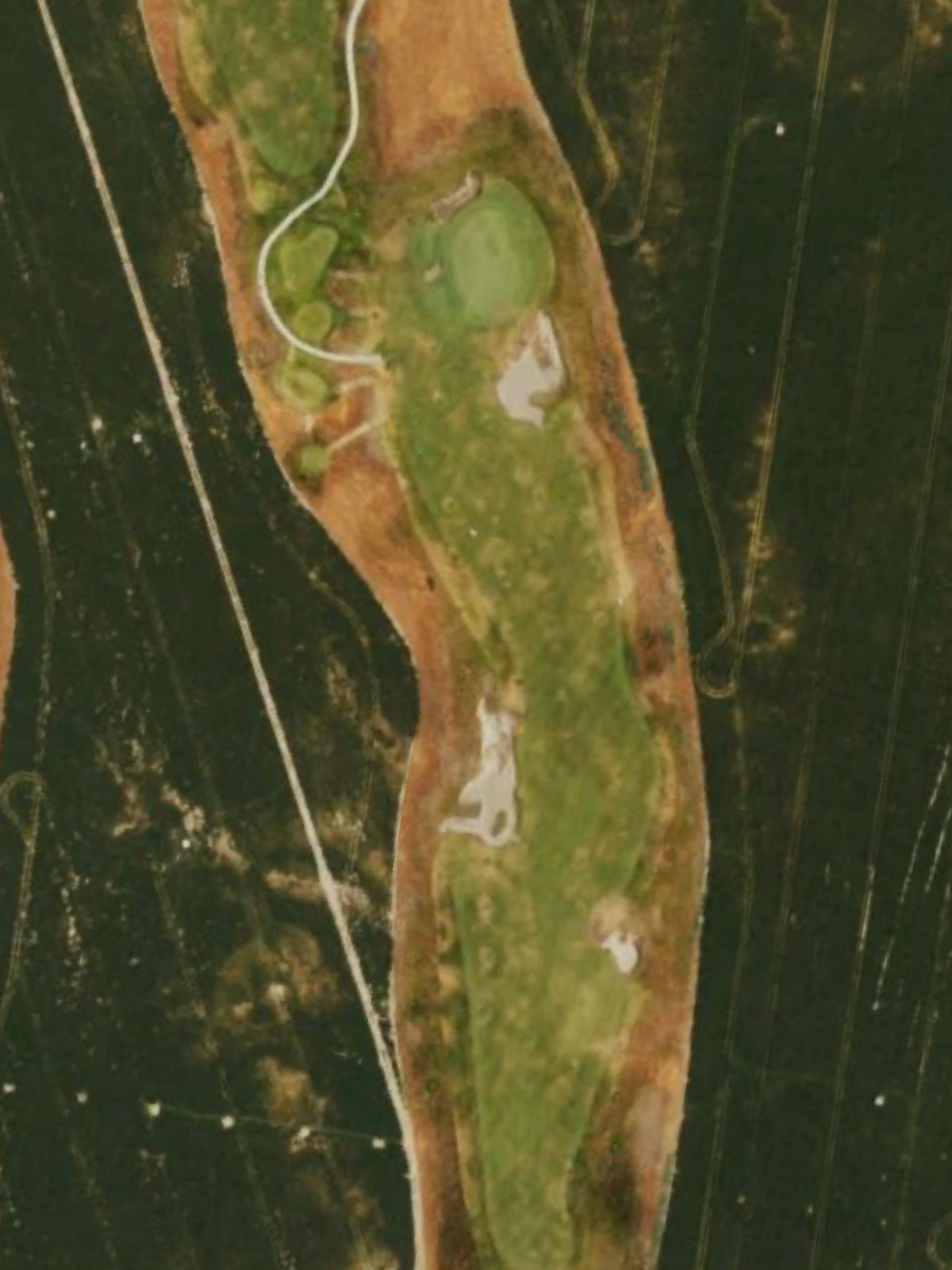 Hole 7 satellite