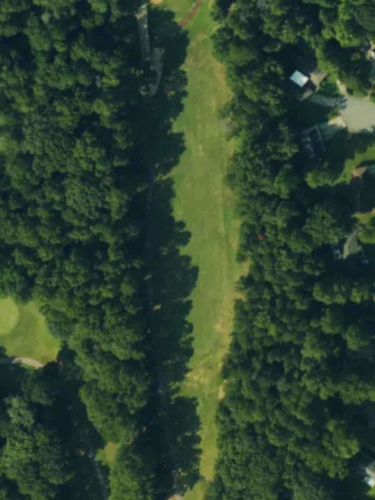 Hole 5 satellite