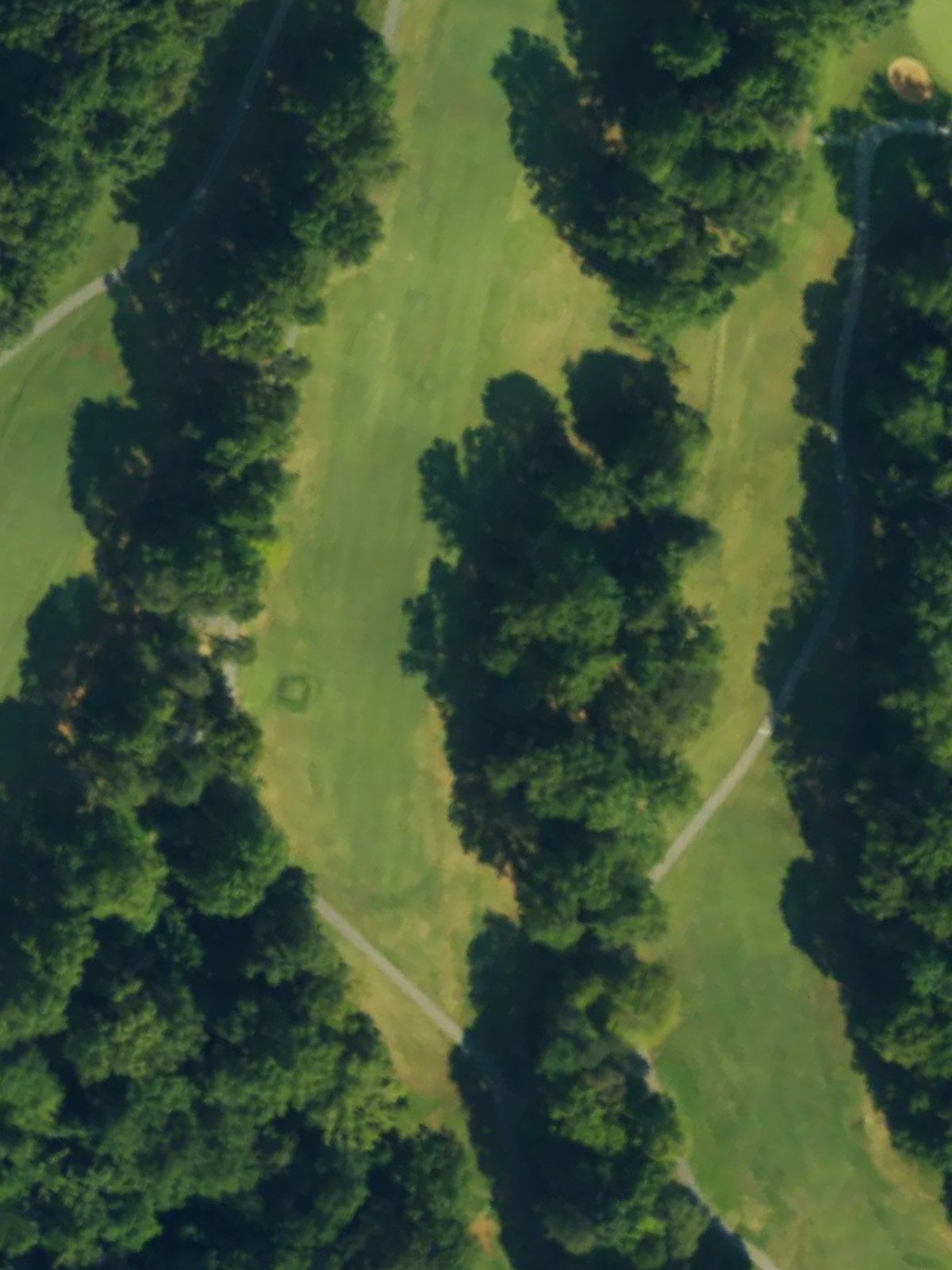 Hole 7 satellite