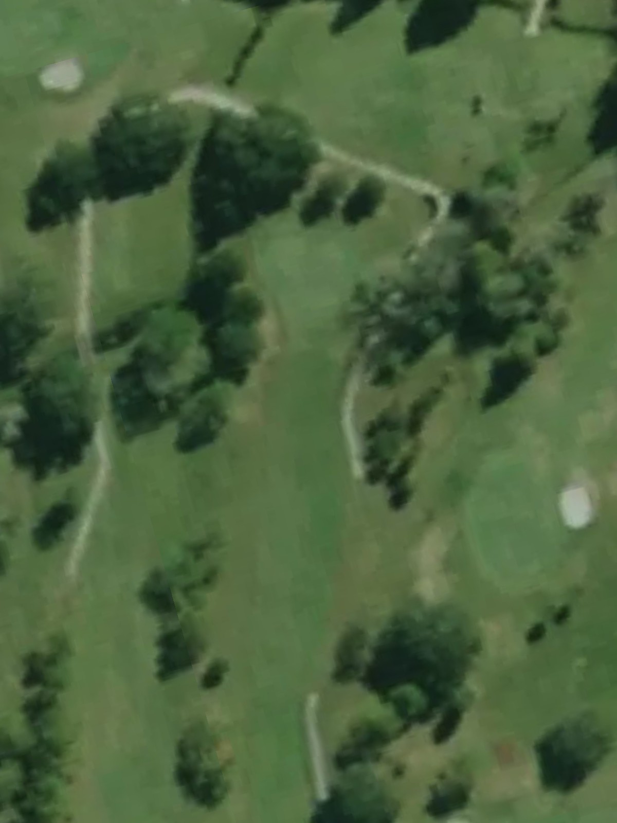 Hole 15 satellite