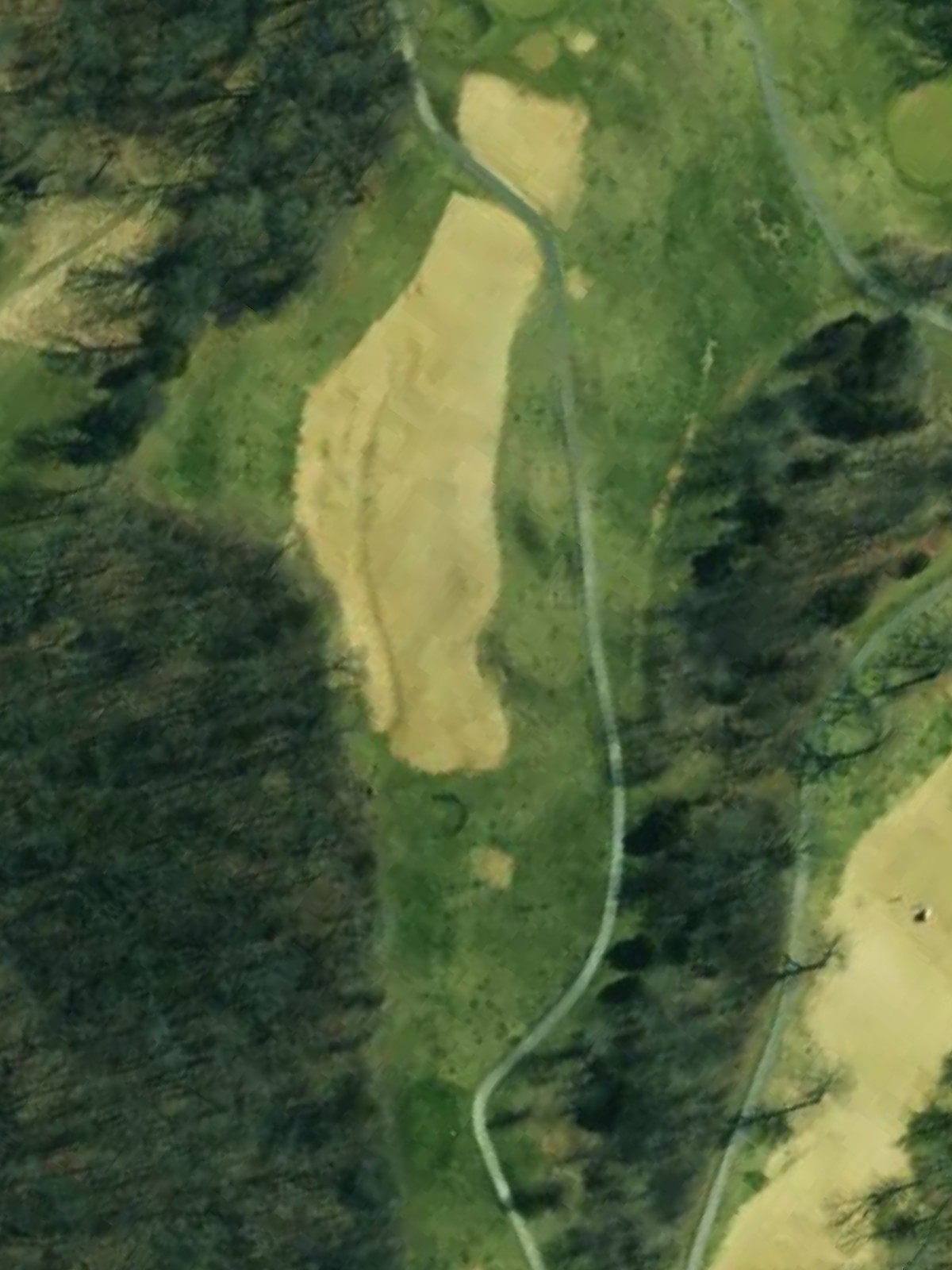 Hole 13 satellite