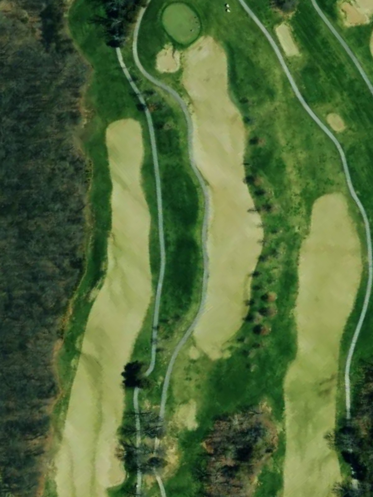 Hole 15 satellite