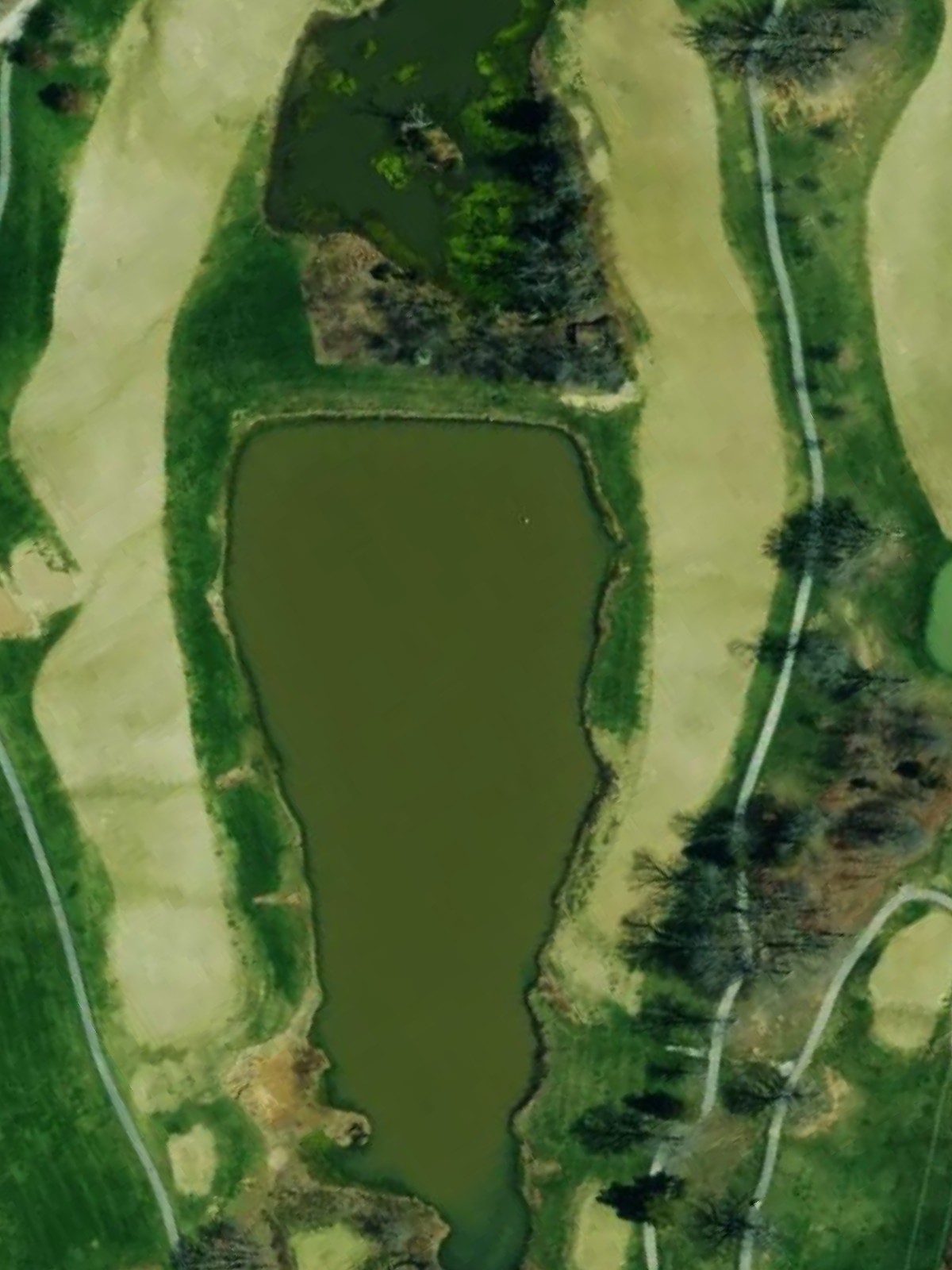 Hole 6 satellite