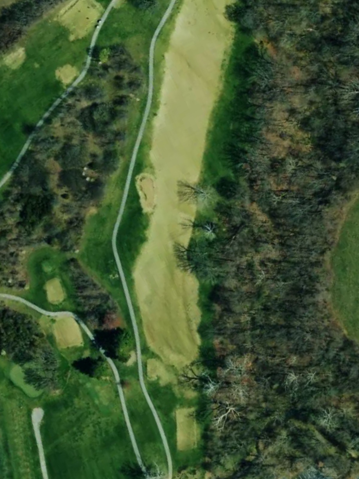 Hole 7 satellite