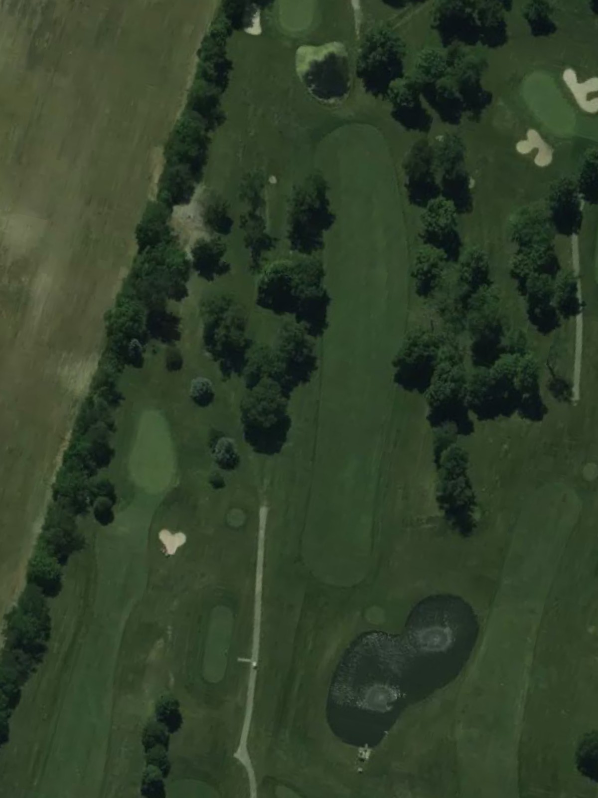 Hole 15 satellite
