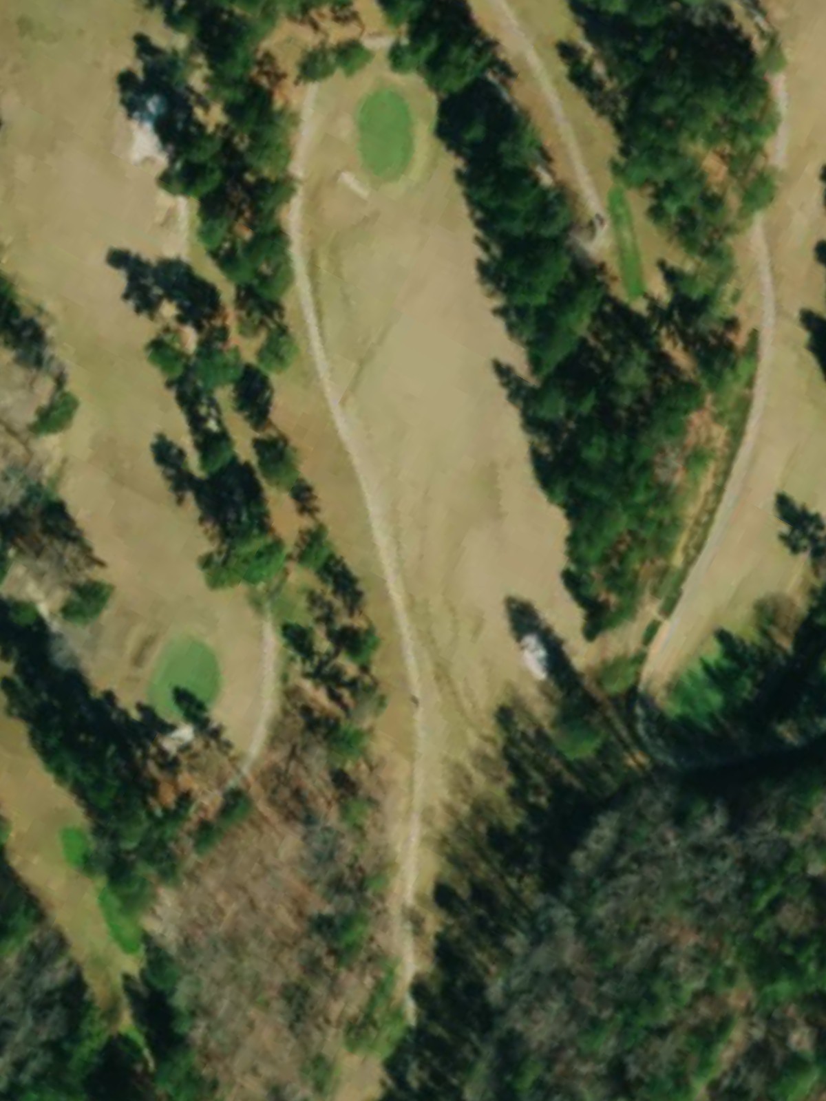 Hole 15 satellite