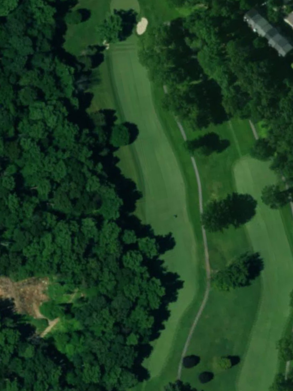 Hole 13 satellite