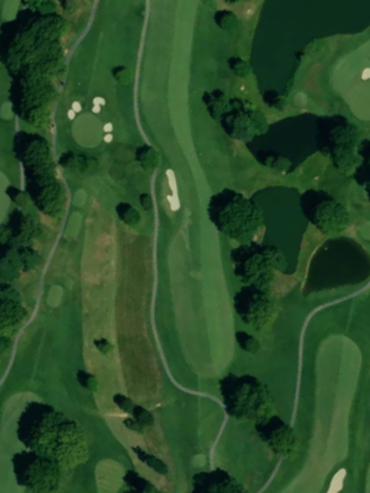 Hole 7 satellite
