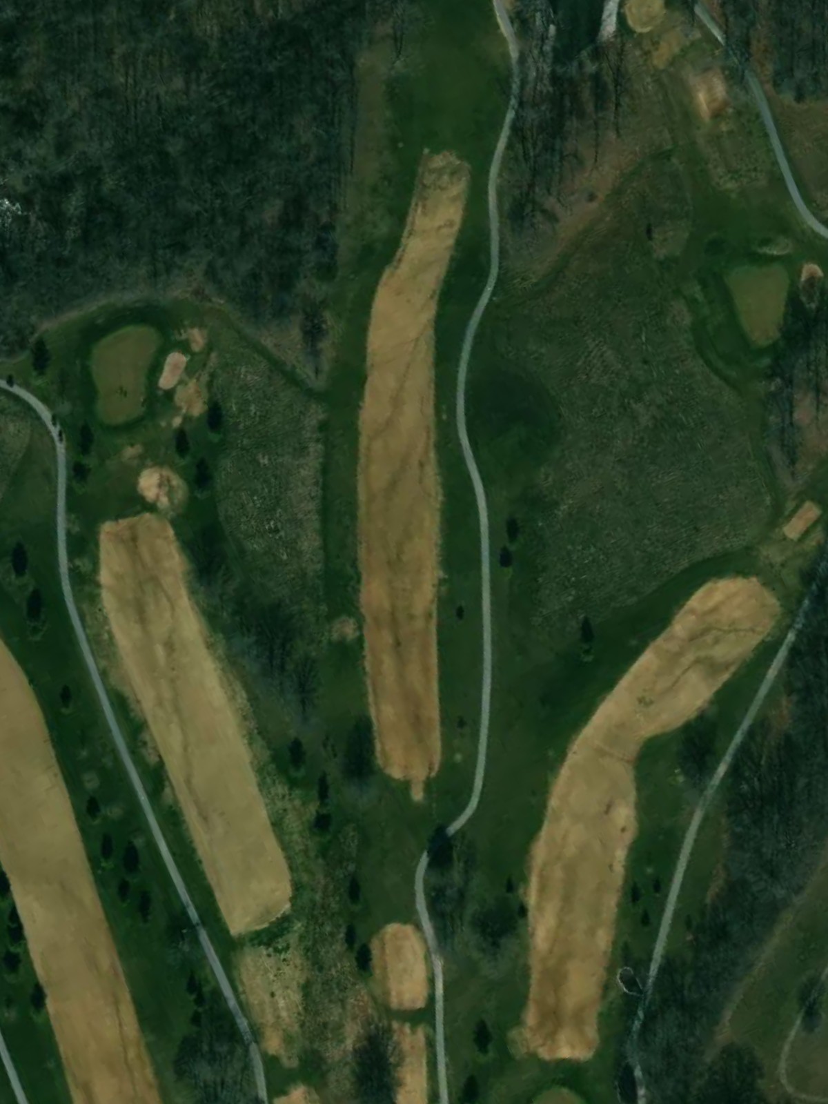 Hole 15 satellite