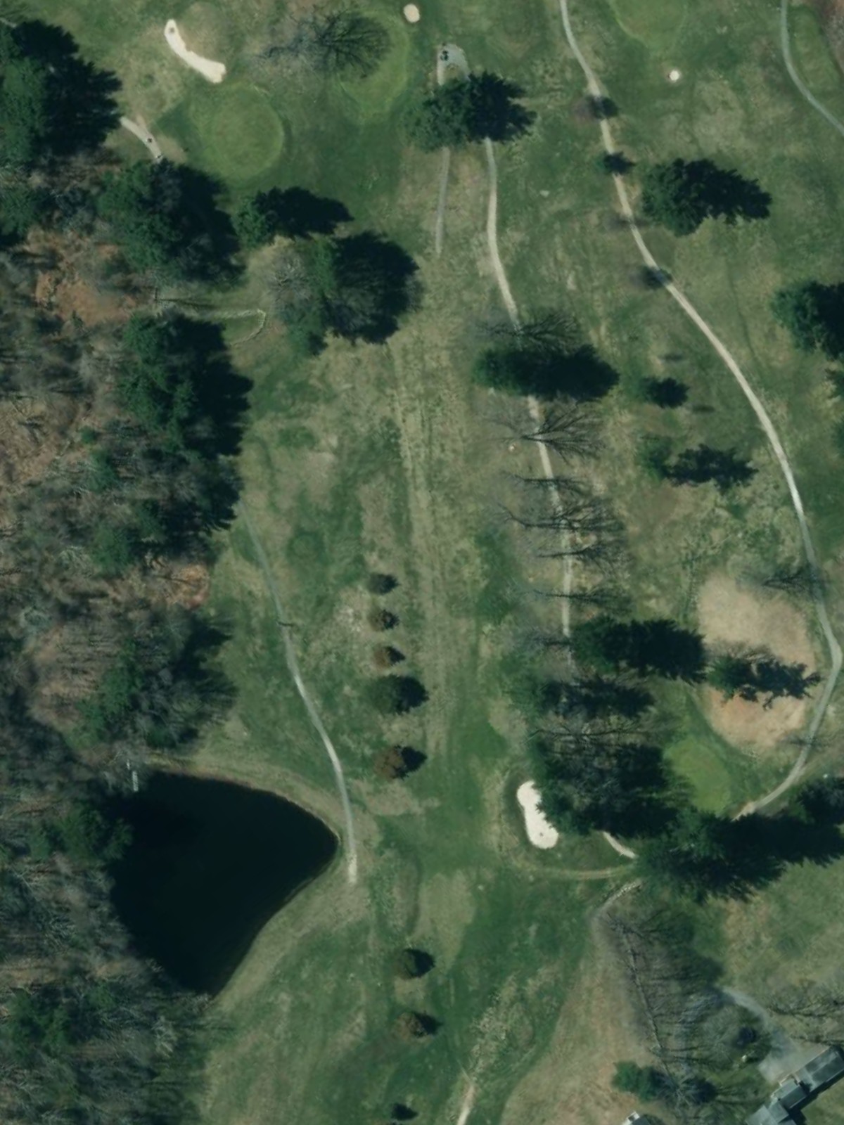 Hole 6 satellite