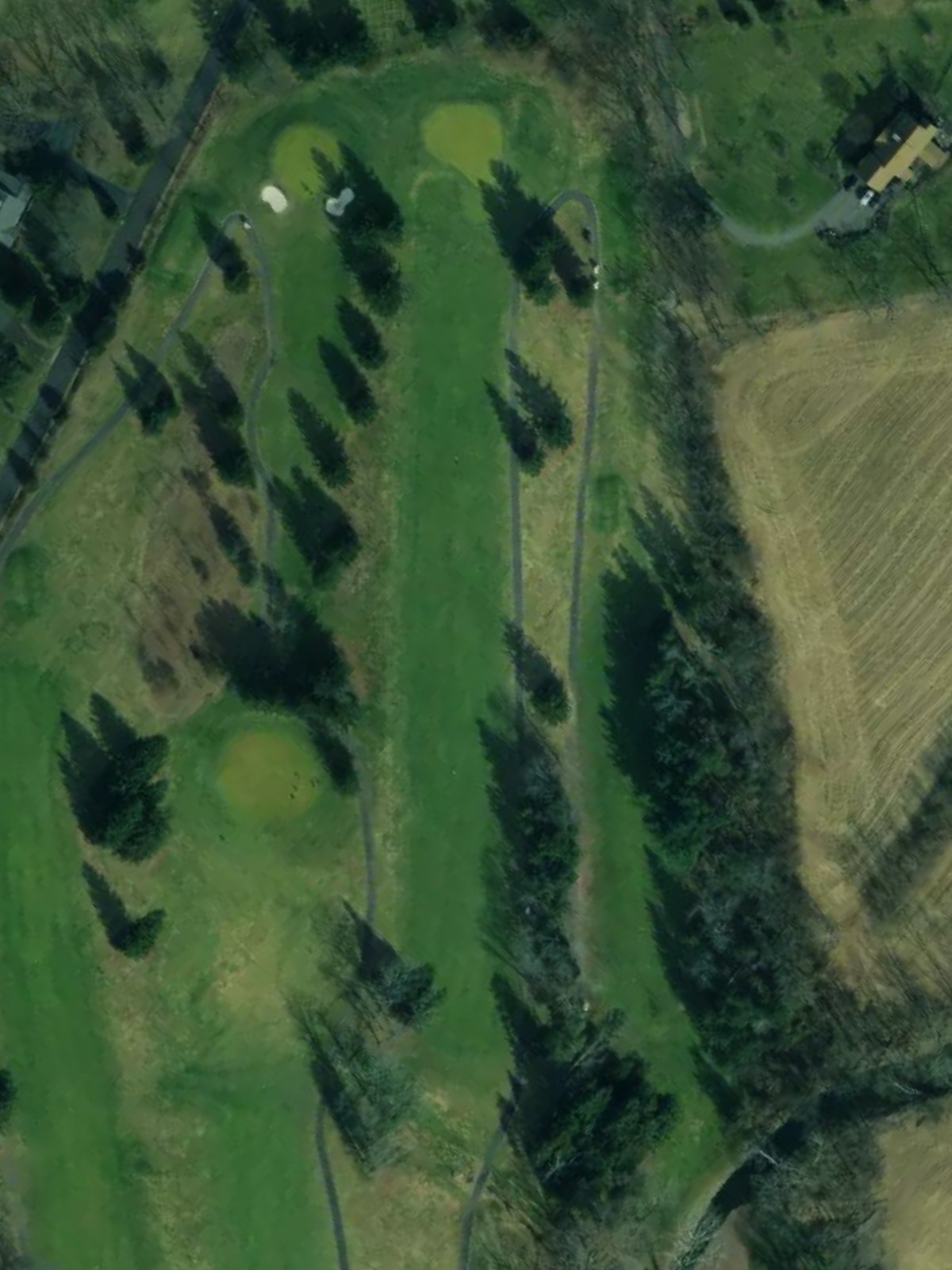 Hole 12 satellite