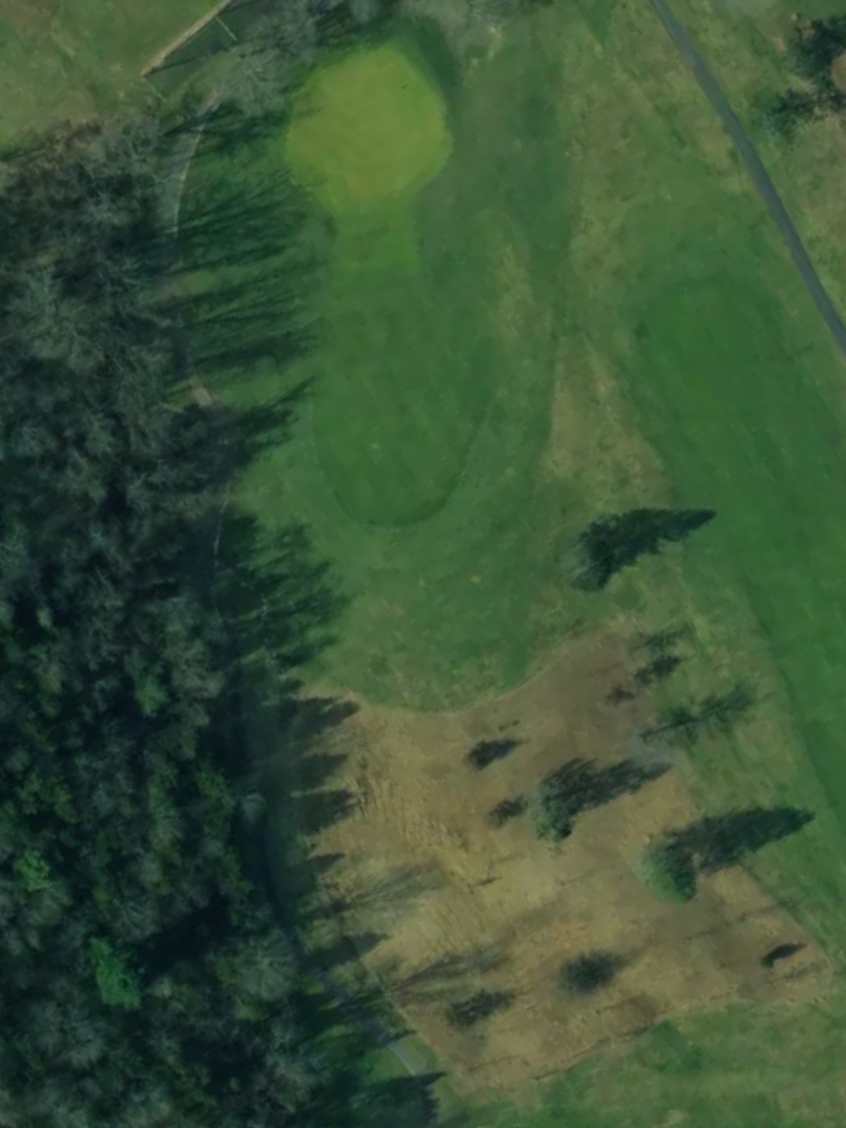 Hole 15 satellite