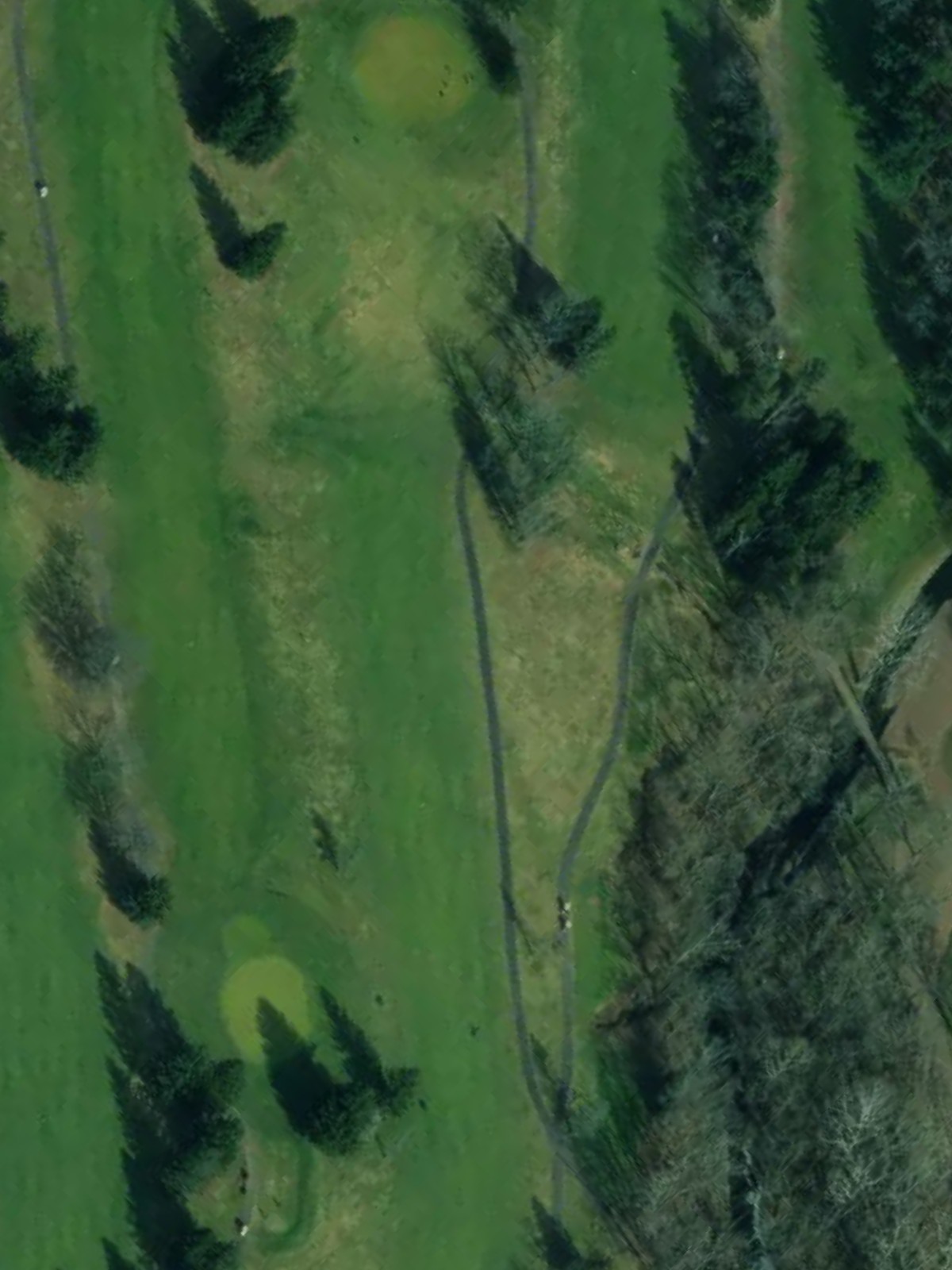 Hole 2 satellite