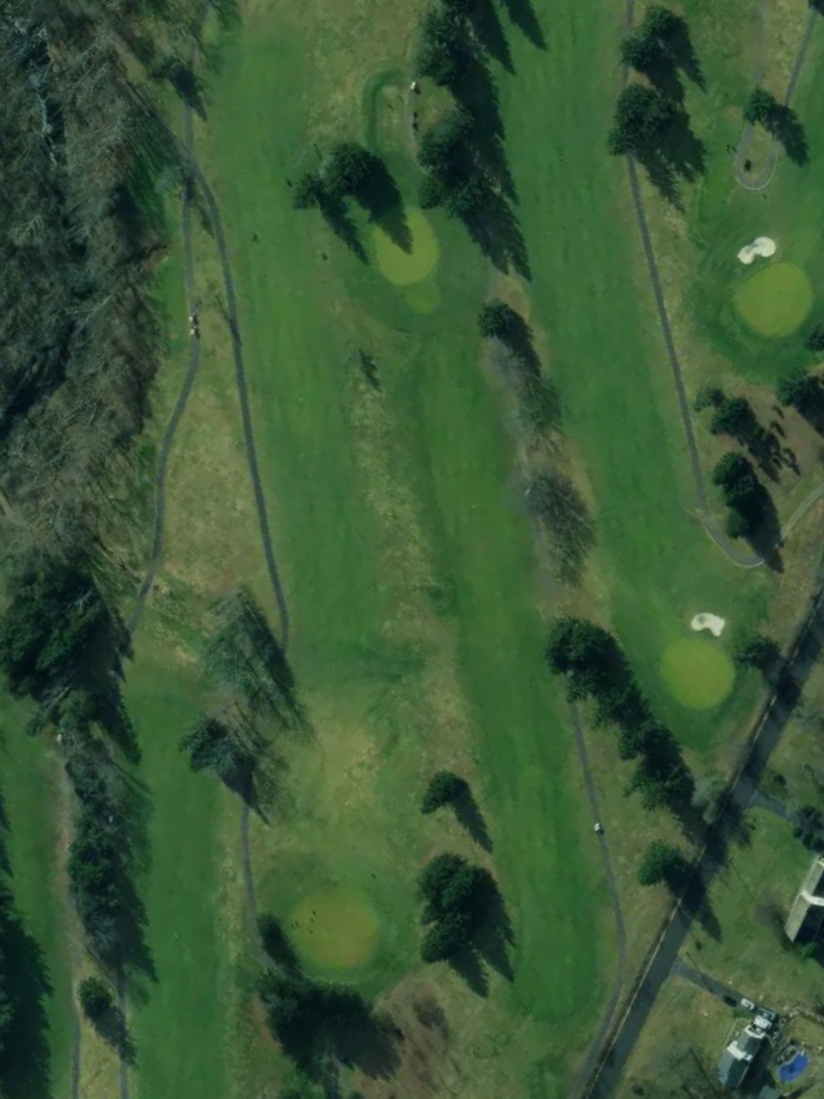Hole 4 satellite