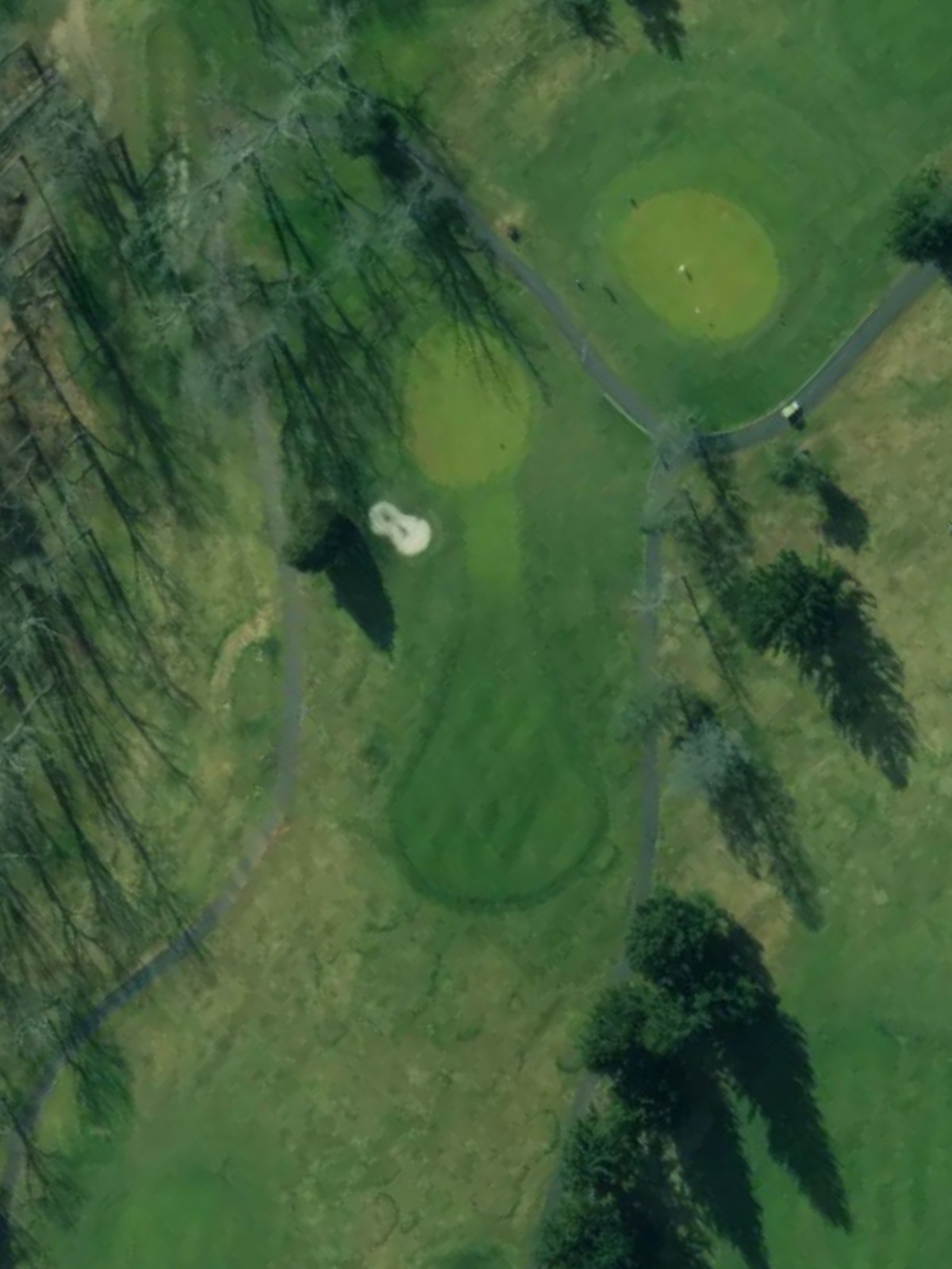 Hole 5 satellite