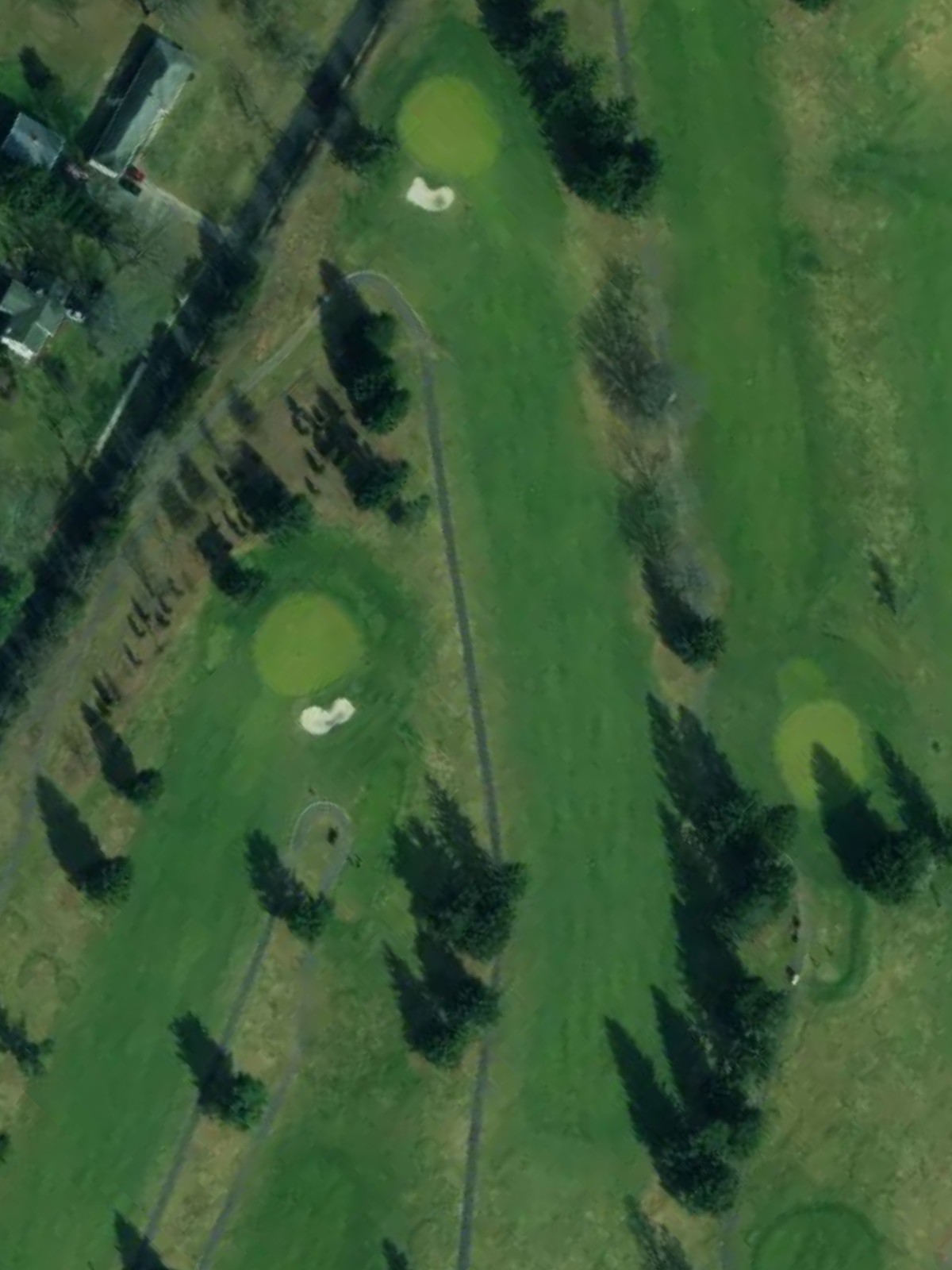 Hole 6 satellite