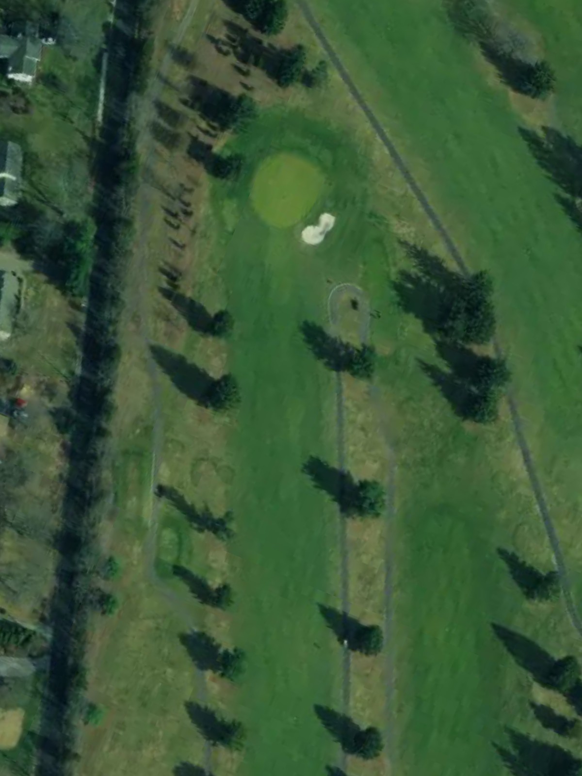 Hole 8 satellite