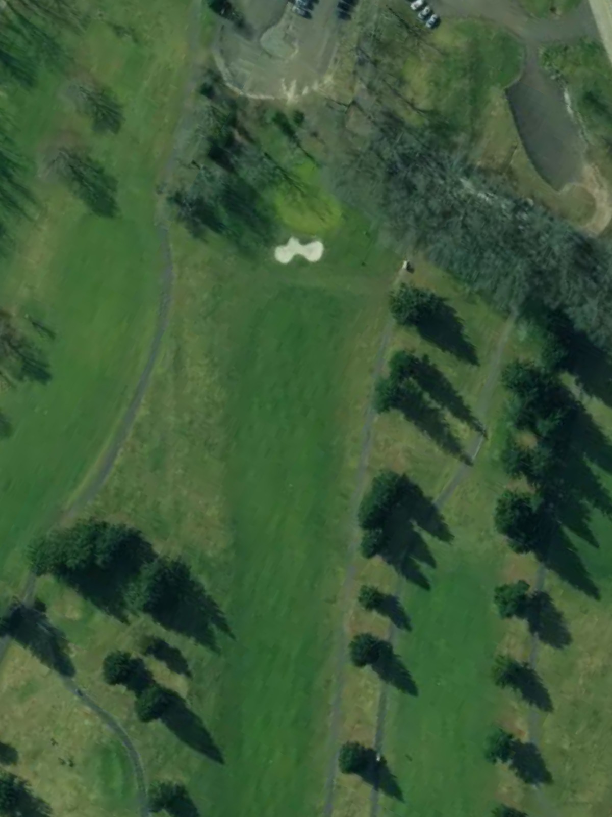 Hole 9 satellite