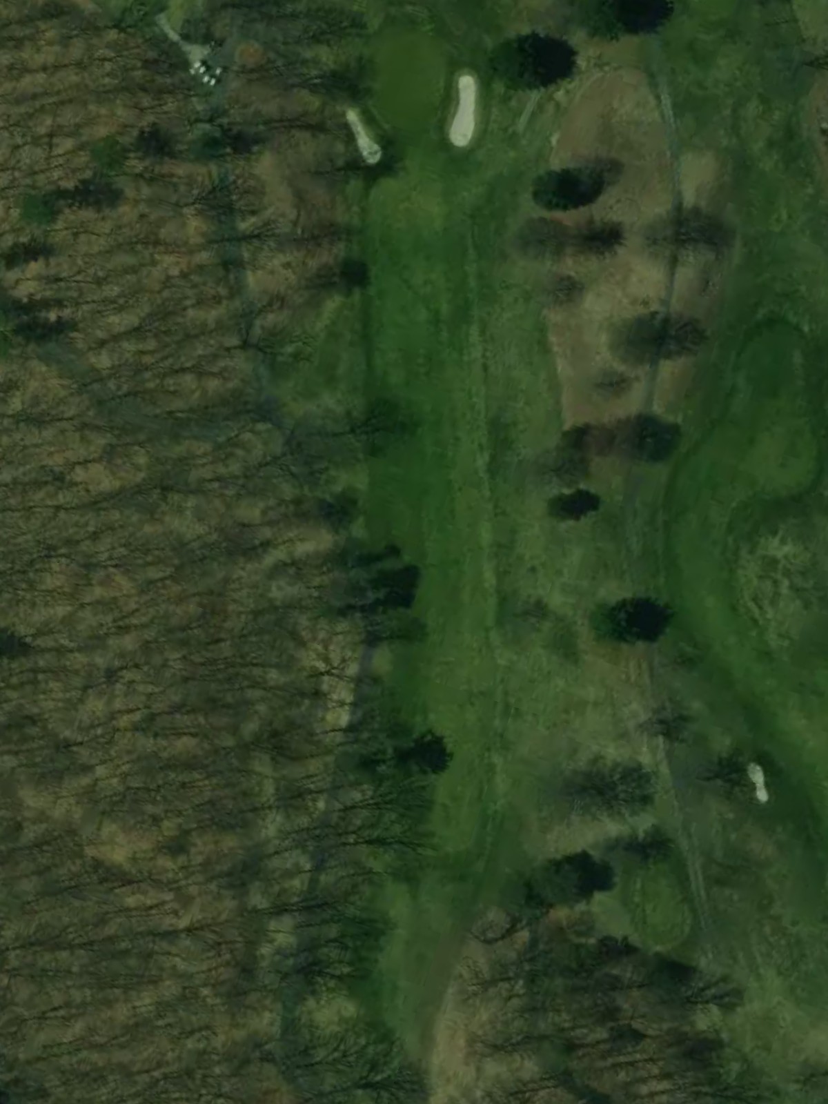 Hole 3 satellite