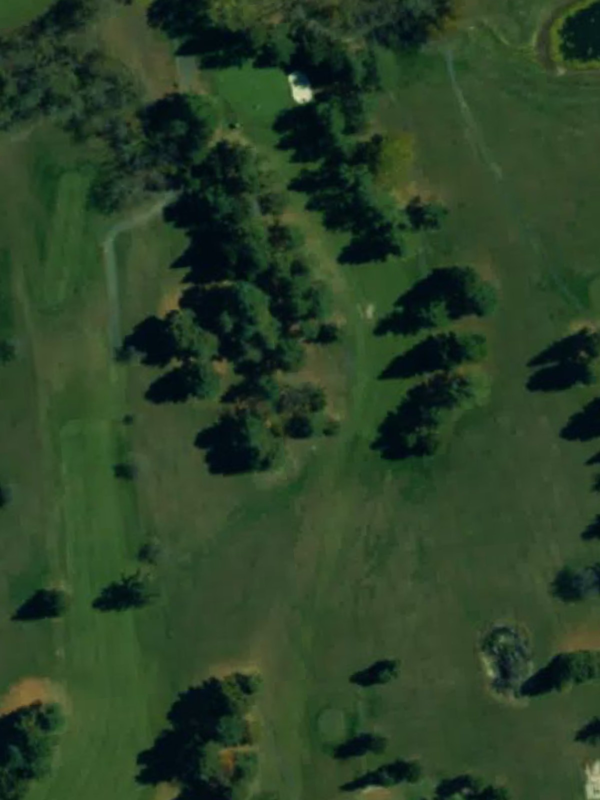 Hole 7 satellite