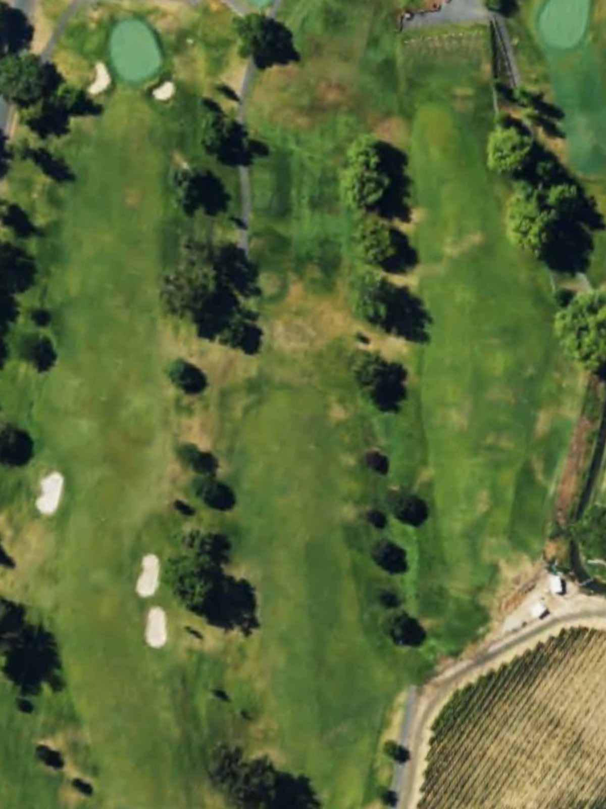 Hole 10 satellite