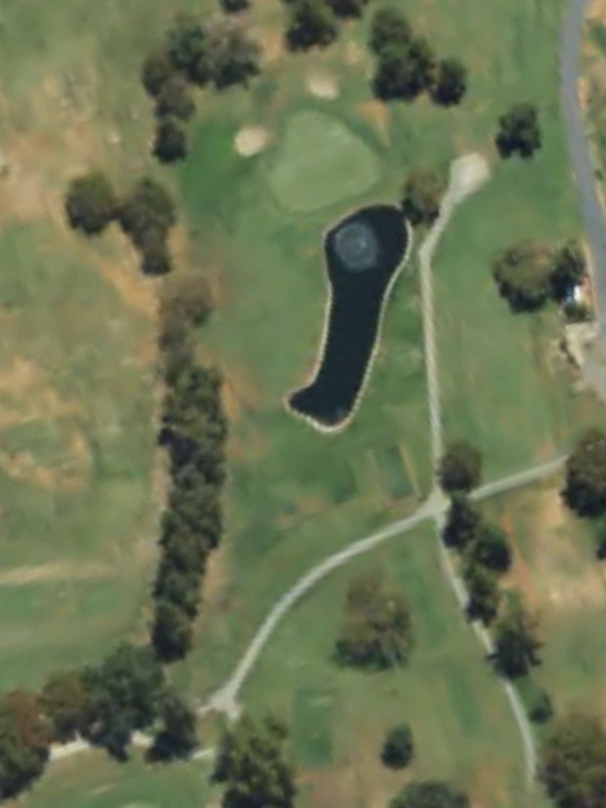 Hole 7 satellite