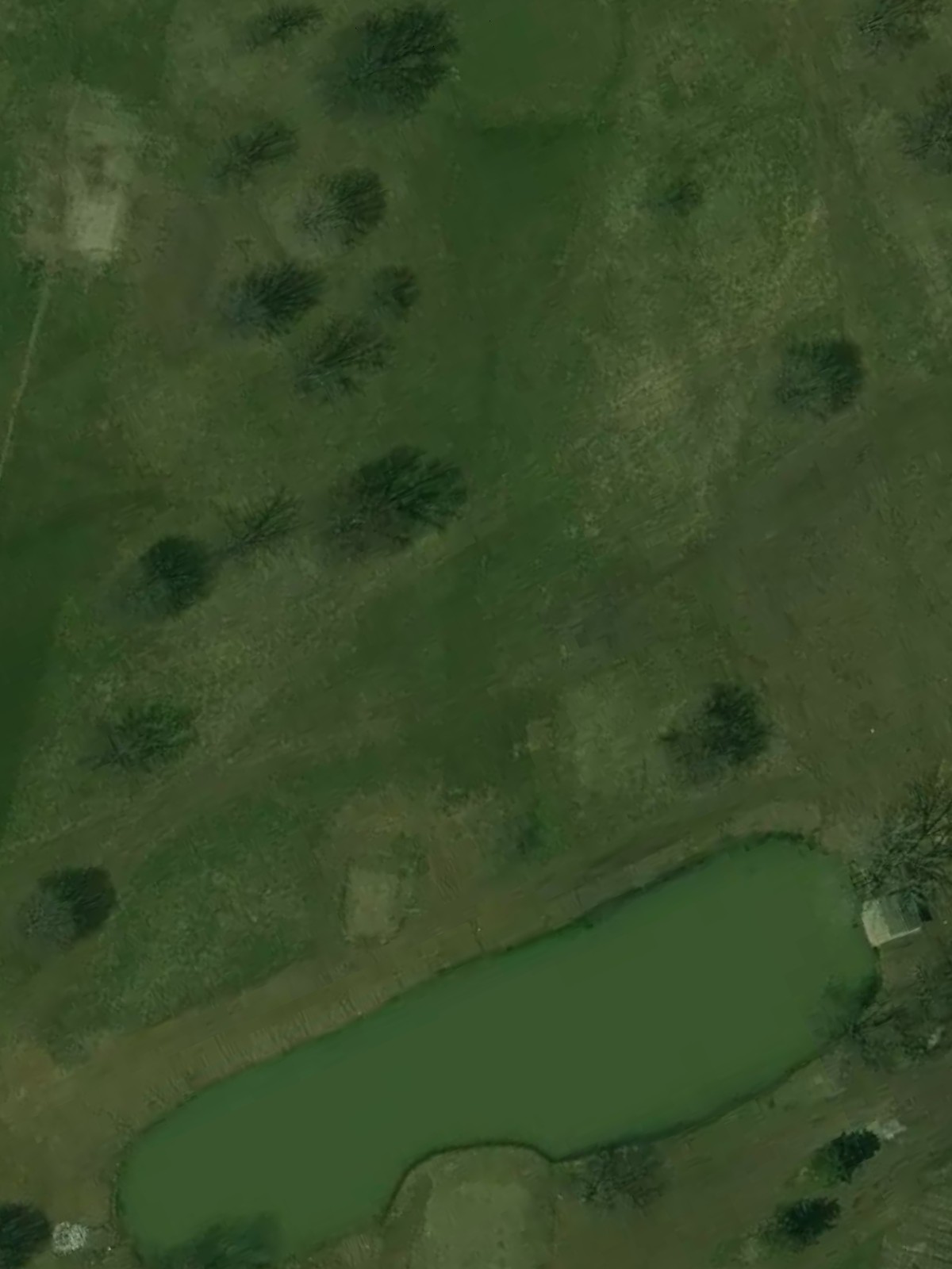 Hole 11 satellite